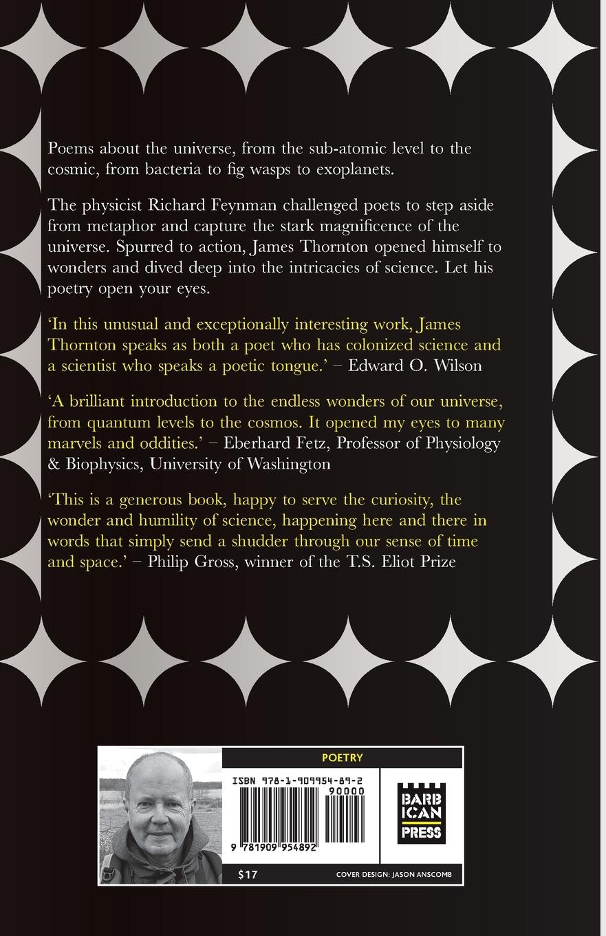 Rückseitencover The Feynman Challenge