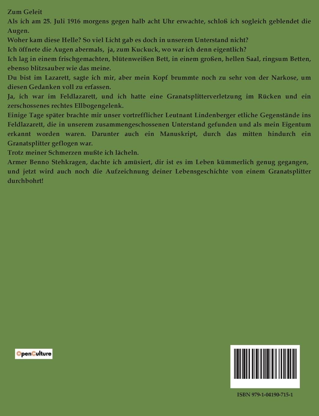 Rückseitencover Benno Stehkragen