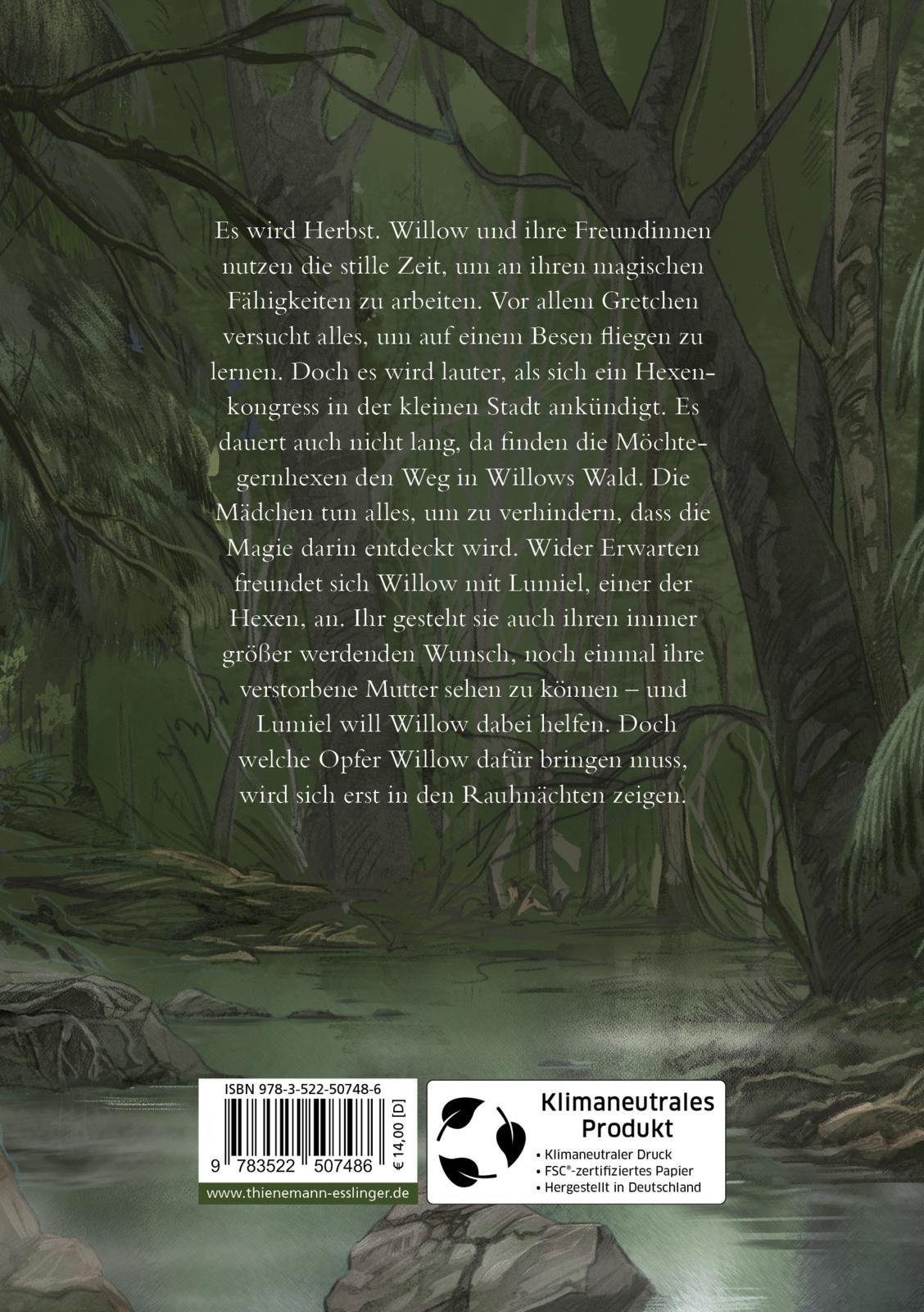 Rückseitencover Ein Mädchen namens Willow 4: Nebeltanz