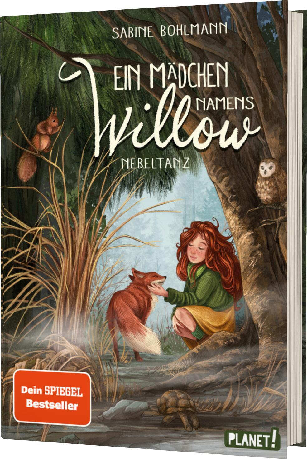 Vorderes Coverbild Ein Mädchen namens Willow 4: Nebeltanz