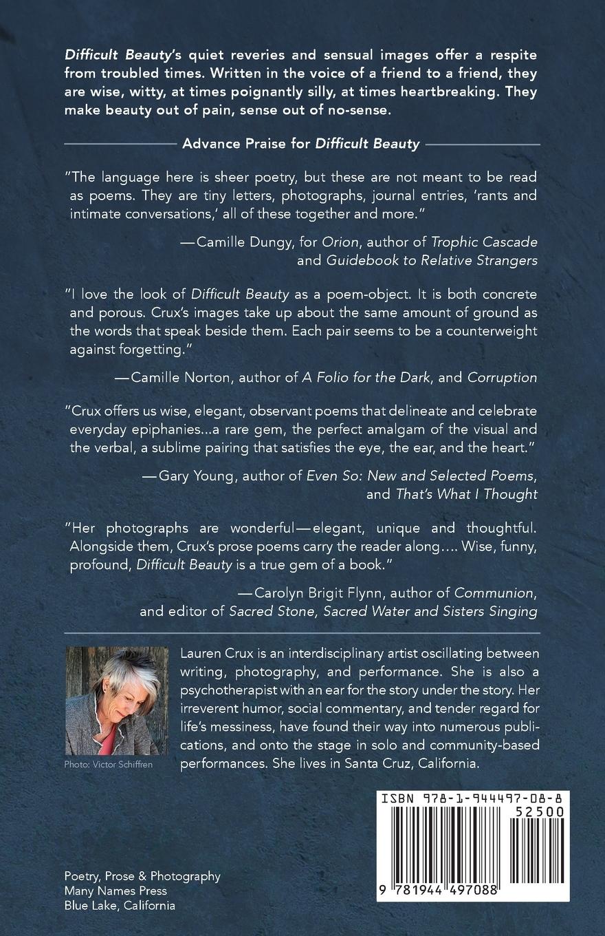 Rückseitencover Difficult Beauty