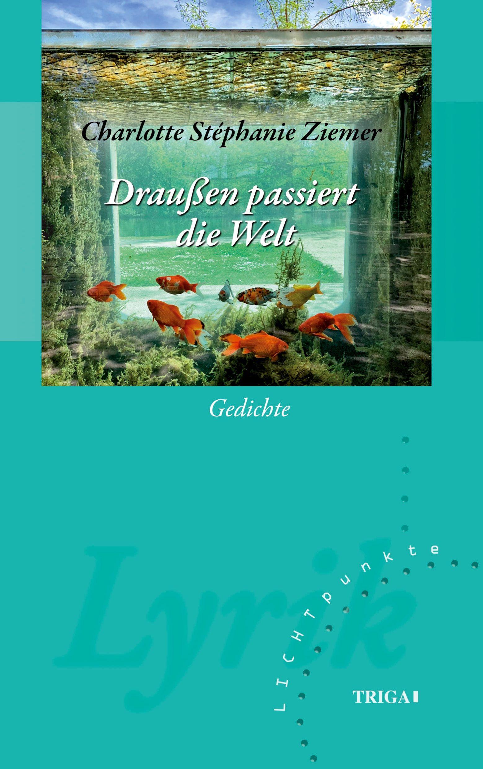 Vorderes Coverbild Draußen passiert die Welt