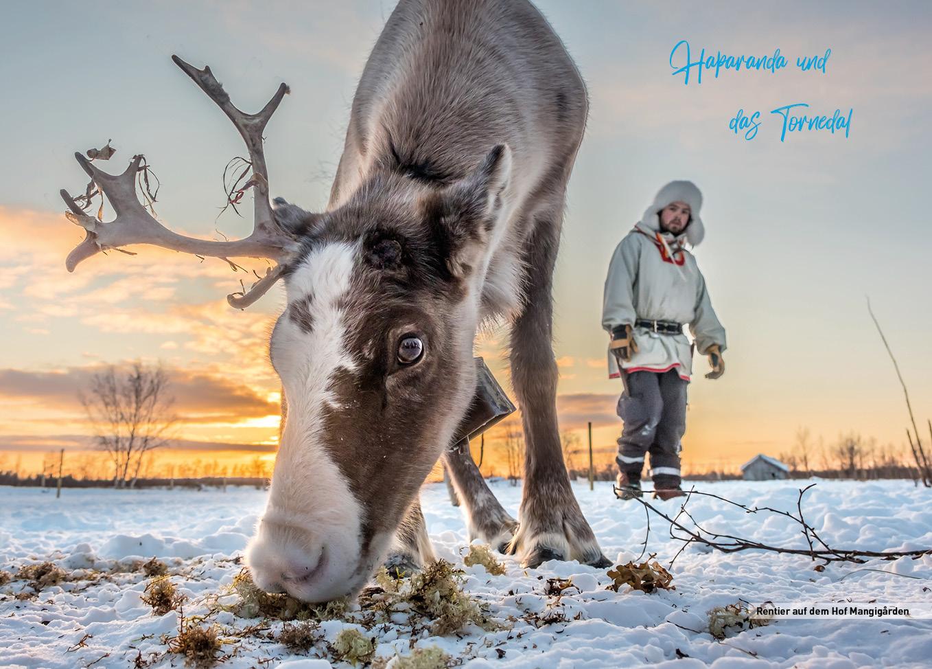 Beispielinhalt (Bild) Schwedisch Lappland - ReiseMomente