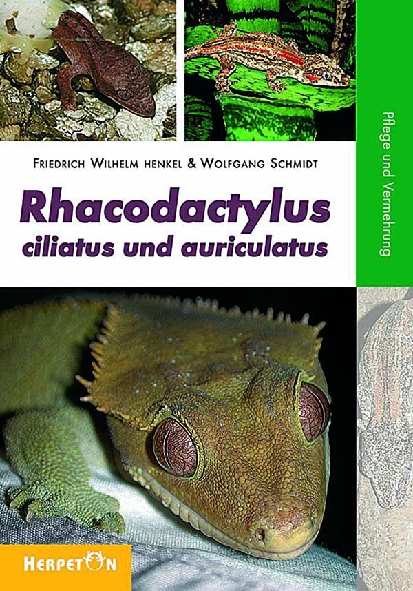 Vorderes Coverbild Rhacodactylus ciliatus und auriculatus