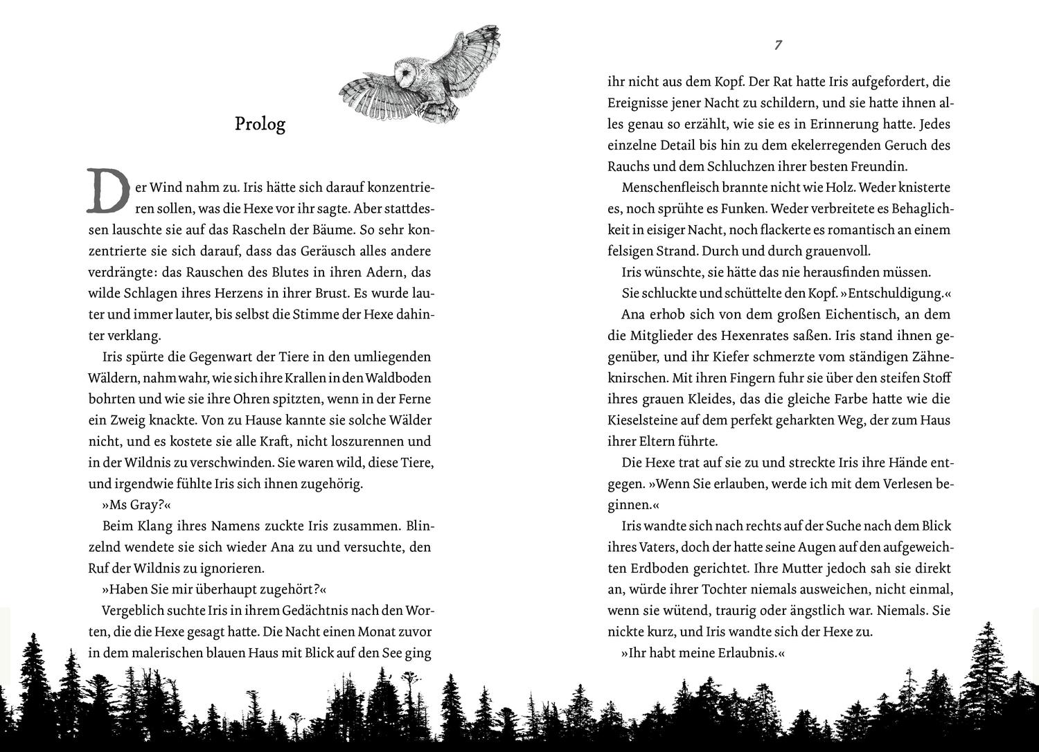 Beispielinhalt (Bild) Wild is the Witch. Verfluchte Nähe