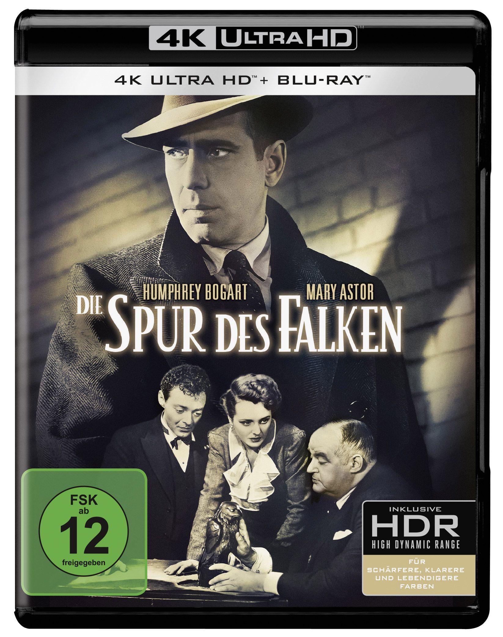 Vorderes Coverbild Die Spur des Falken