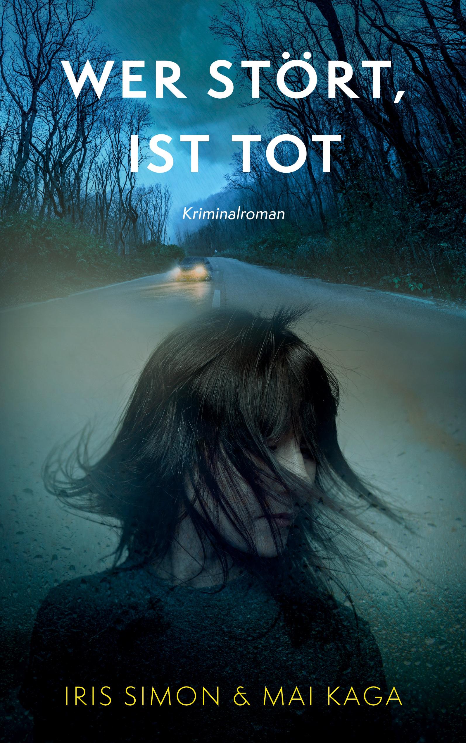 Vorderes Coverbild Wer stört, ist tot