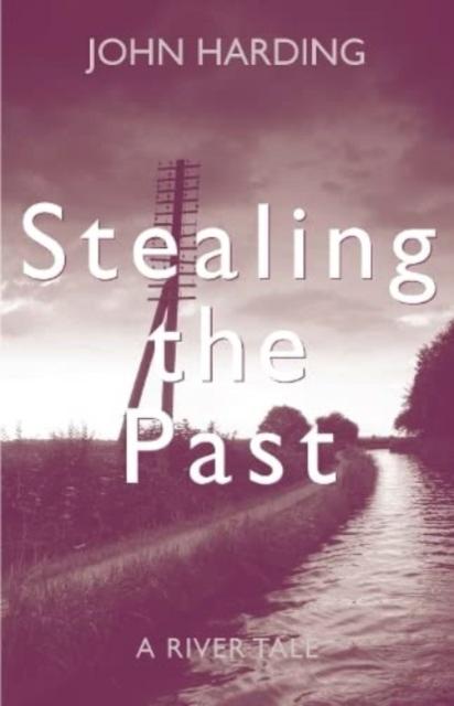 Vorderes Coverbild Stealing the Past