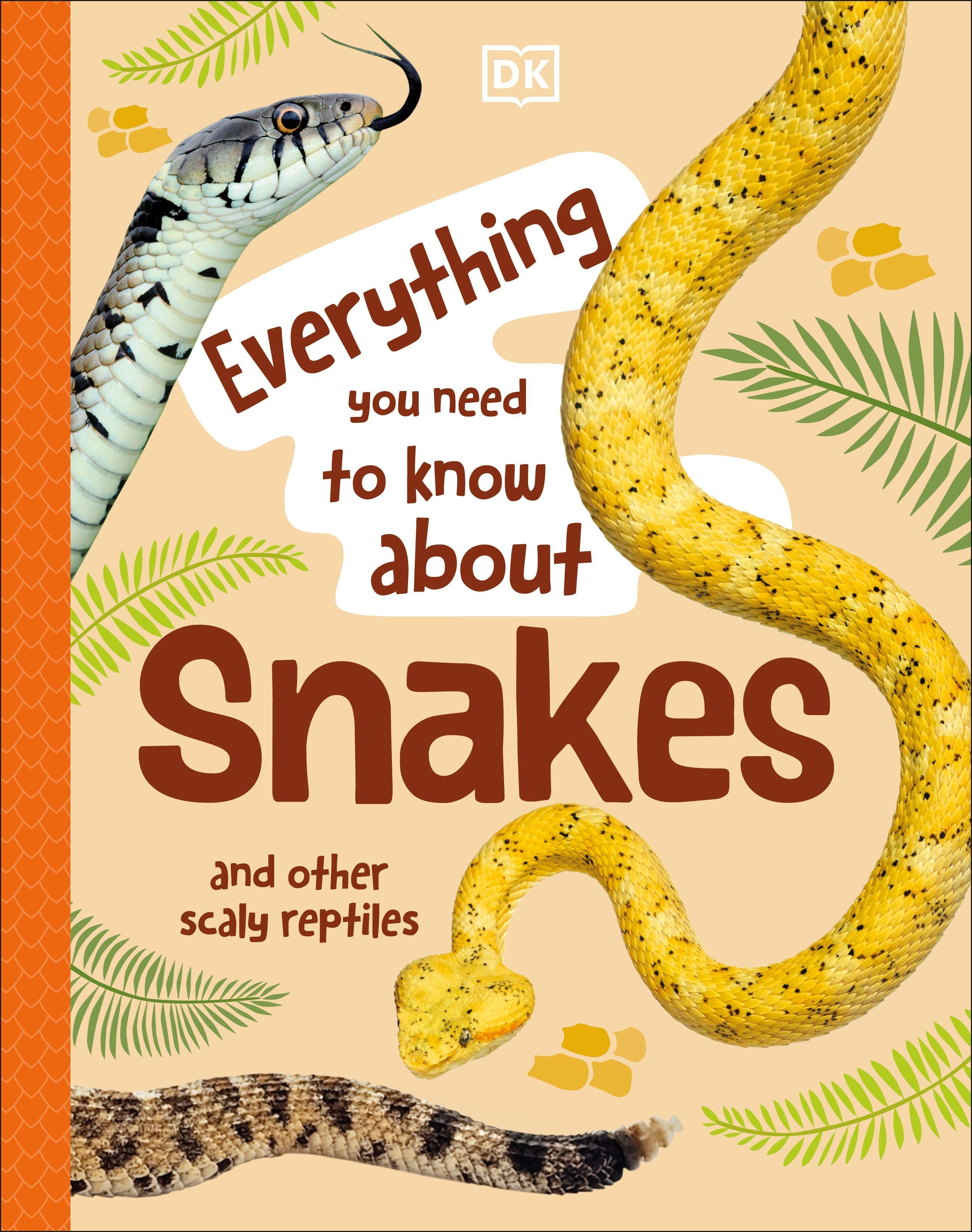 Vorderes Coverbild Everything You Need to Know About Snakes