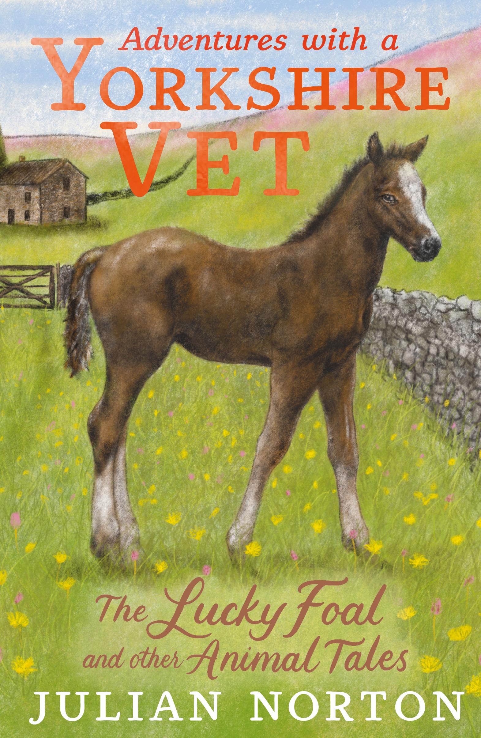 Vorderes Coverbild Adventures with a Yorkshire Vet: The Lucky Foal and Other Animal Tales