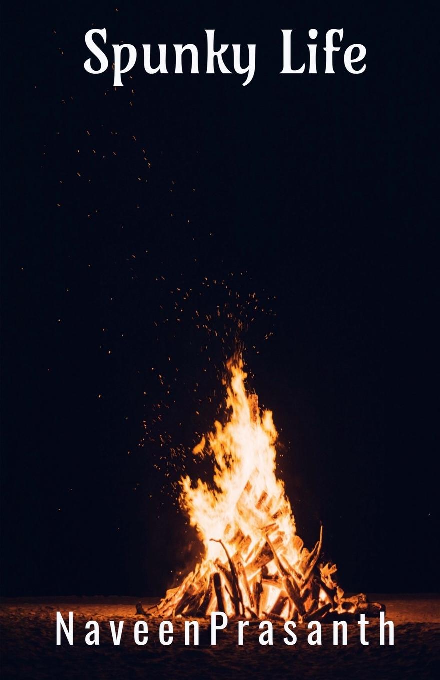 Vorderes Coverbild Naveen