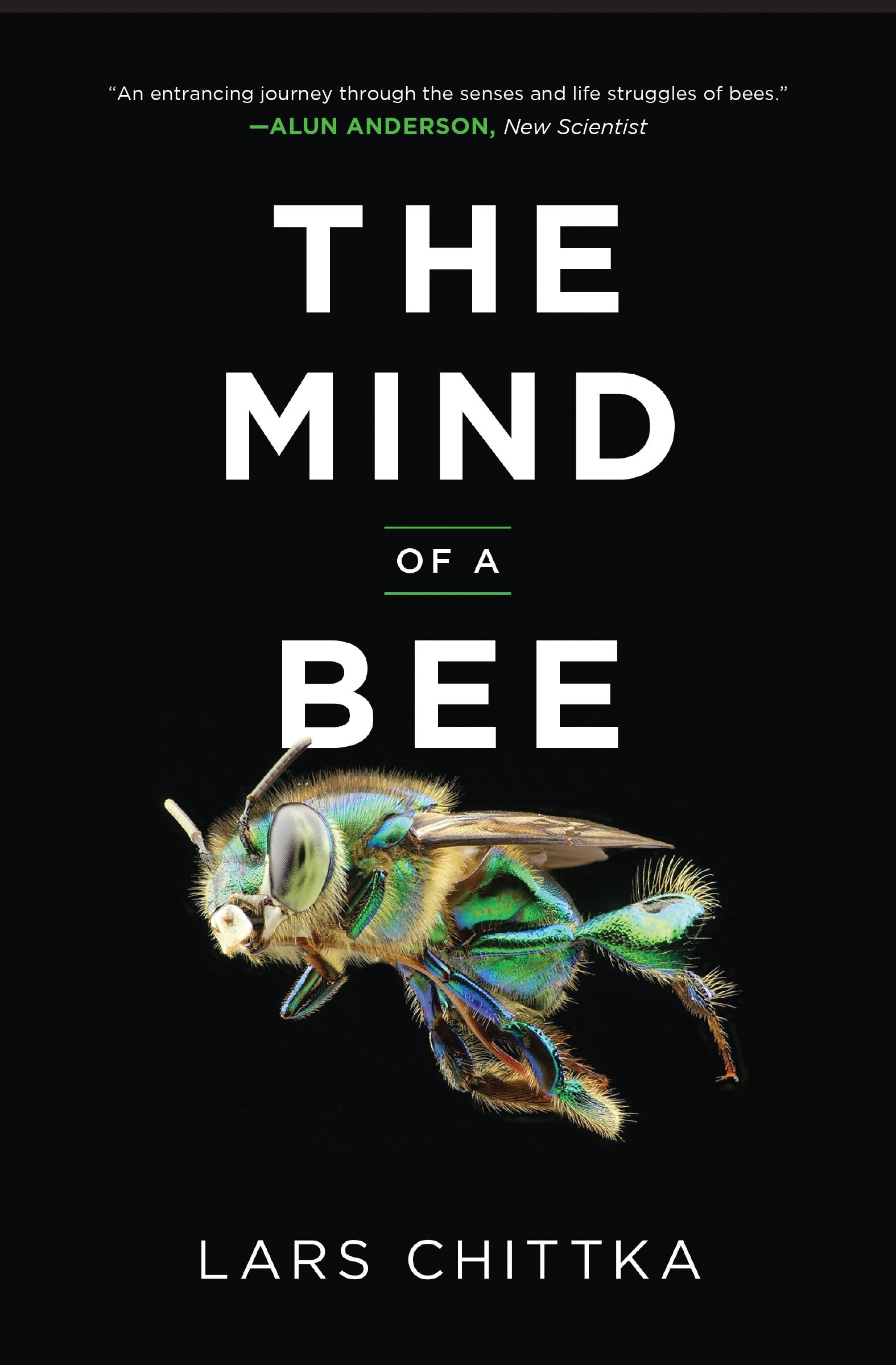 Vorderes Coverbild The Mind of a Bee