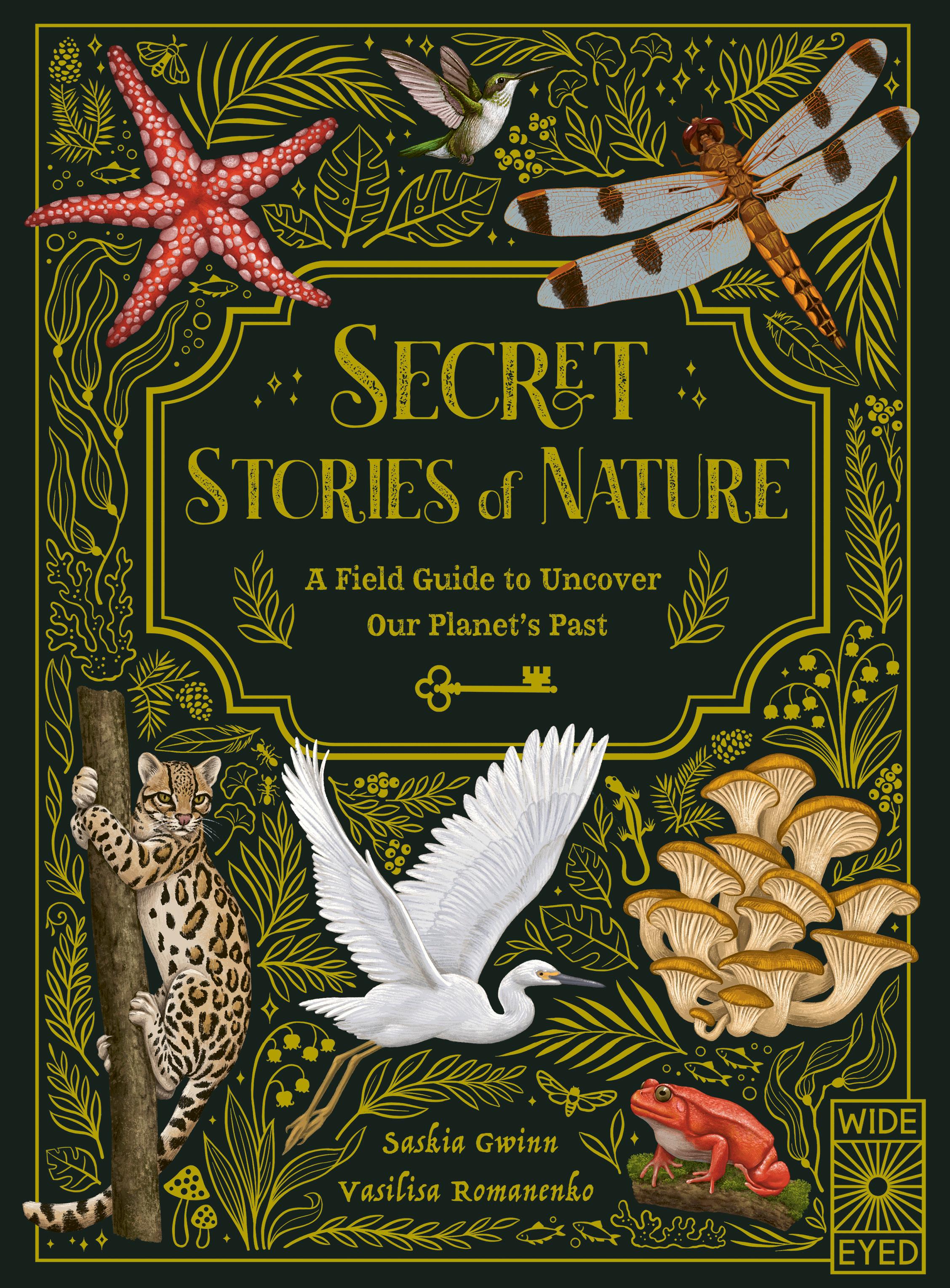 Vorderes Coverbild Secret Stories of Nature