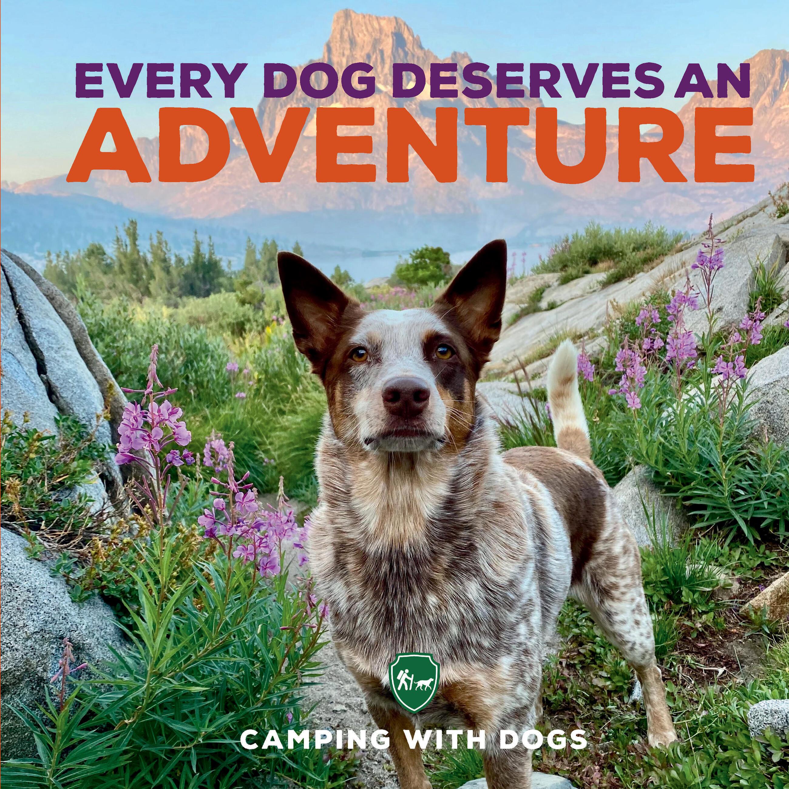 Vorderes Coverbild Every Dog Deserves an Adventure