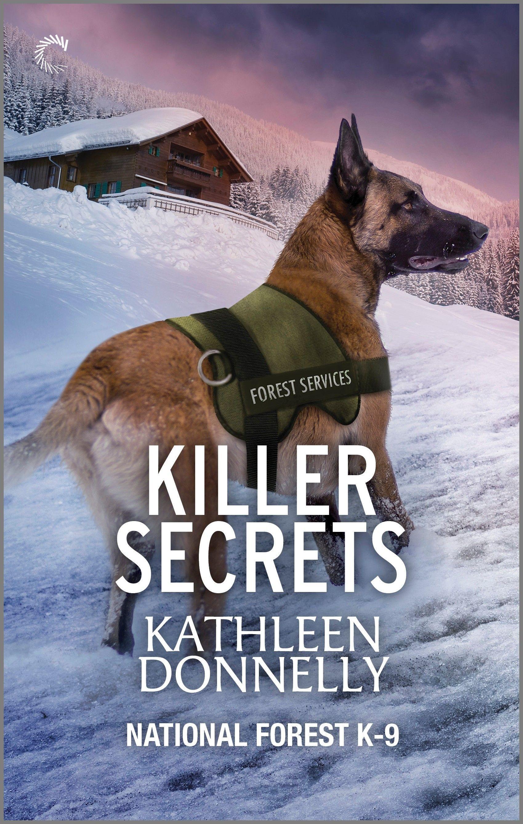 Vorderes Coverbild Killer Secrets