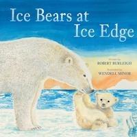 Vorderes Coverbild Ice Bears at Ice Edge