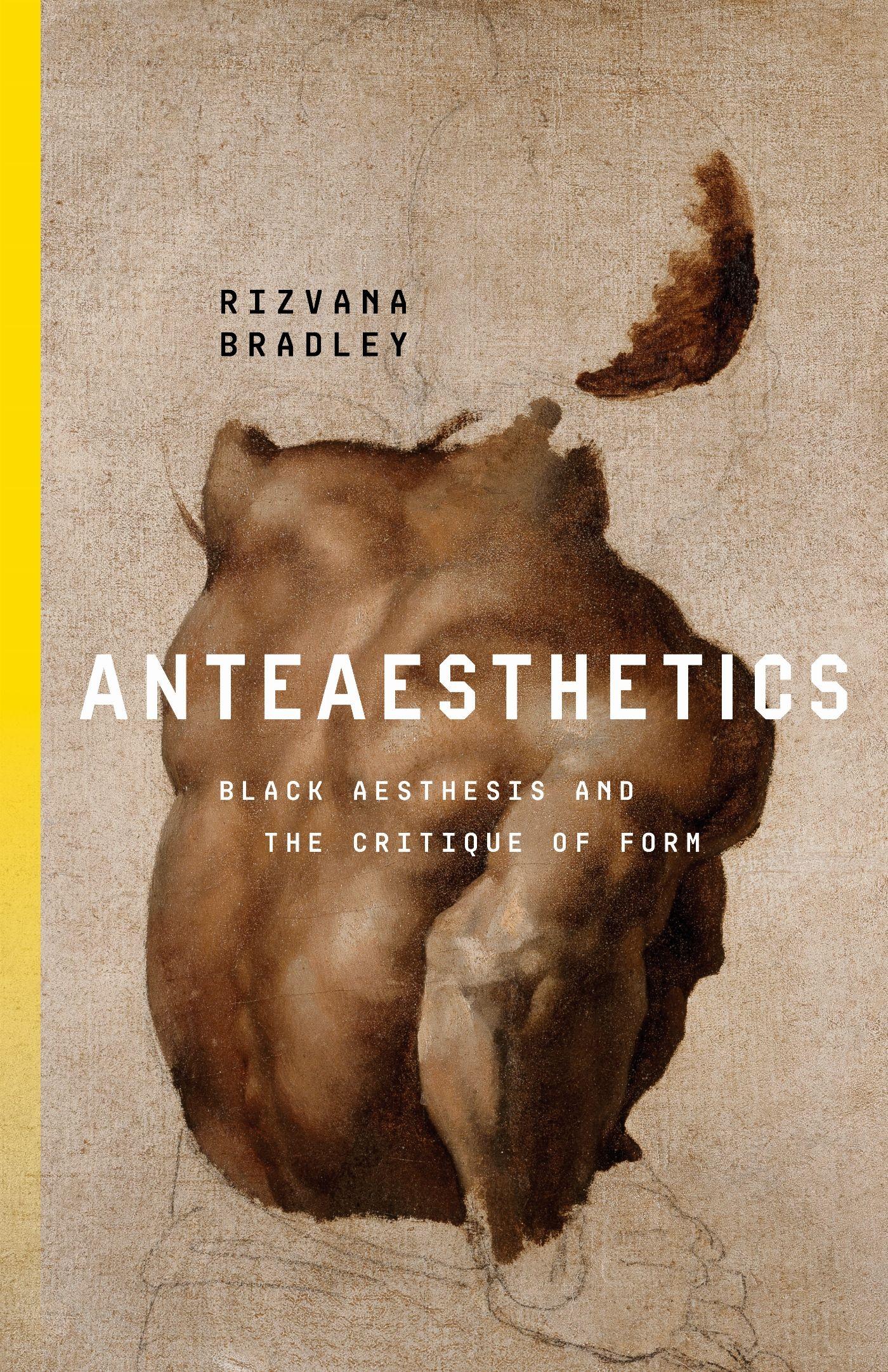Vorderes Coverbild Anteaesthetics