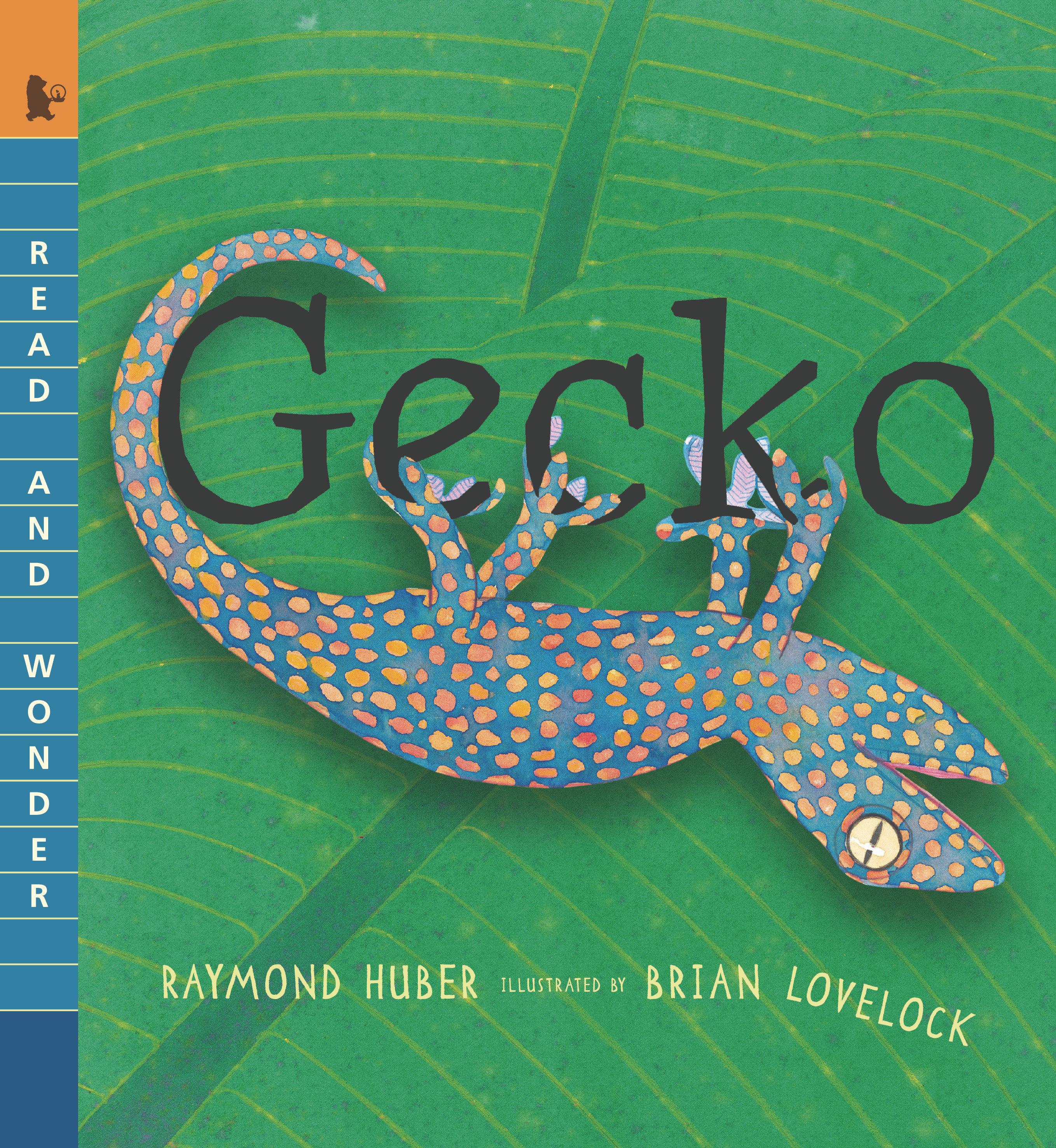 Vorderes Coverbild Gecko