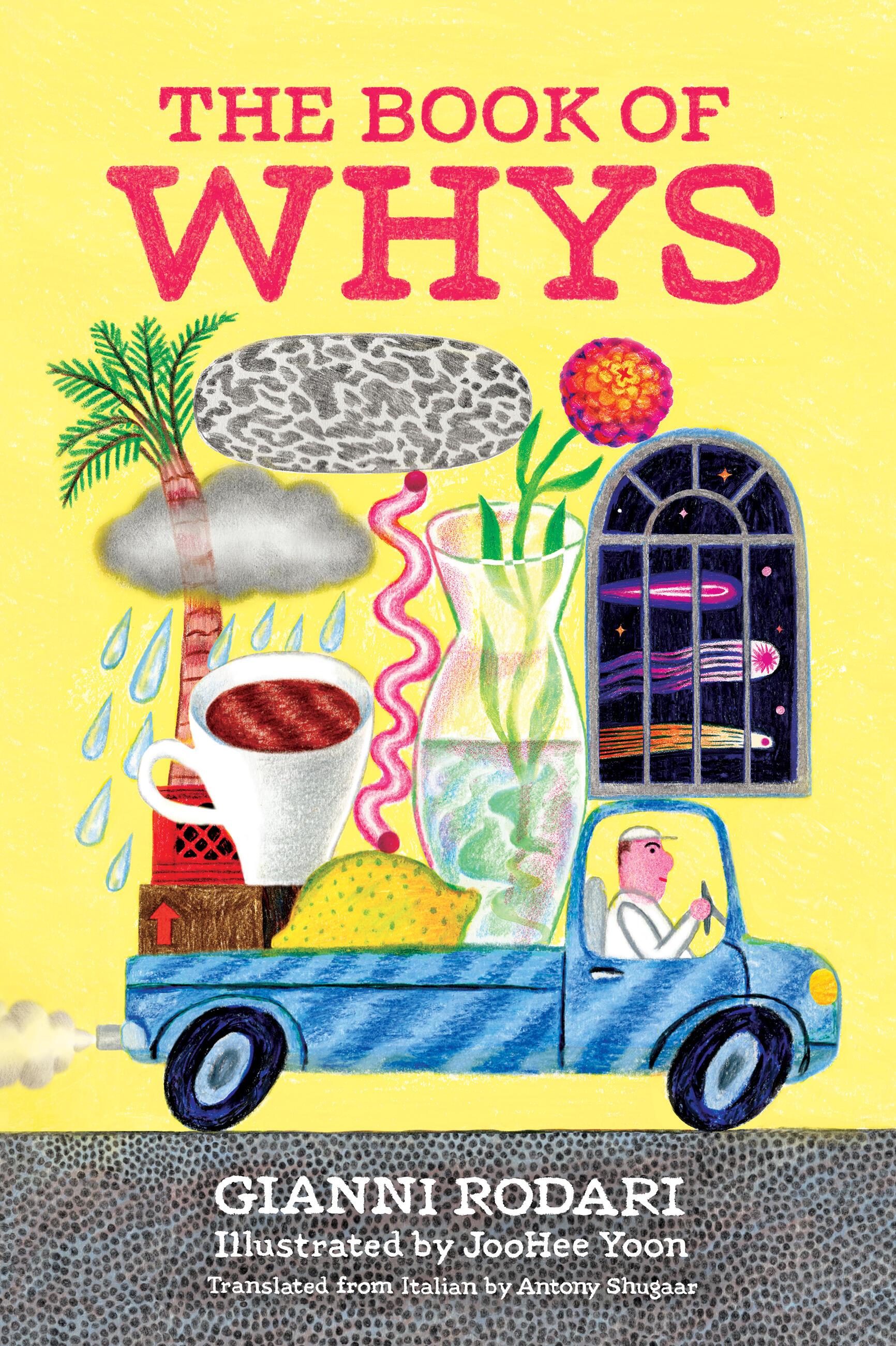Vorderes Coverbild The Book of Whys