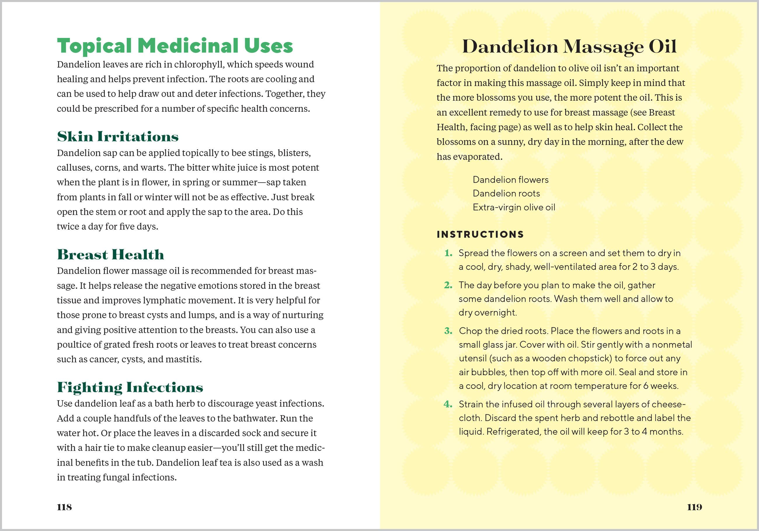 Beispielinhalt (Bild) Dandelion Medicine, 2nd Edition