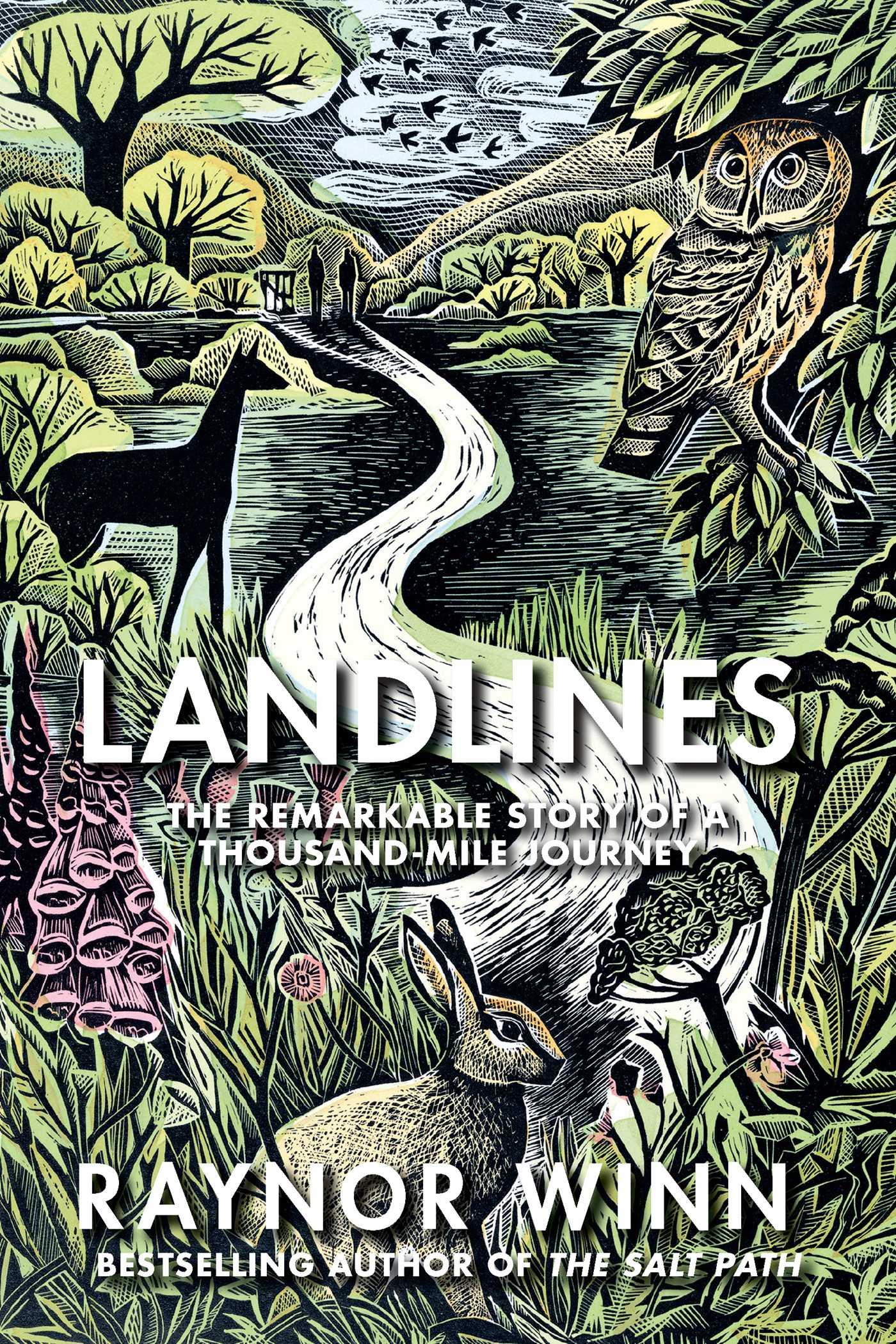 Beispielinhalt (Bild) Landlines: The Remarkable Story of a Thousand-Mile Journey Across Britain