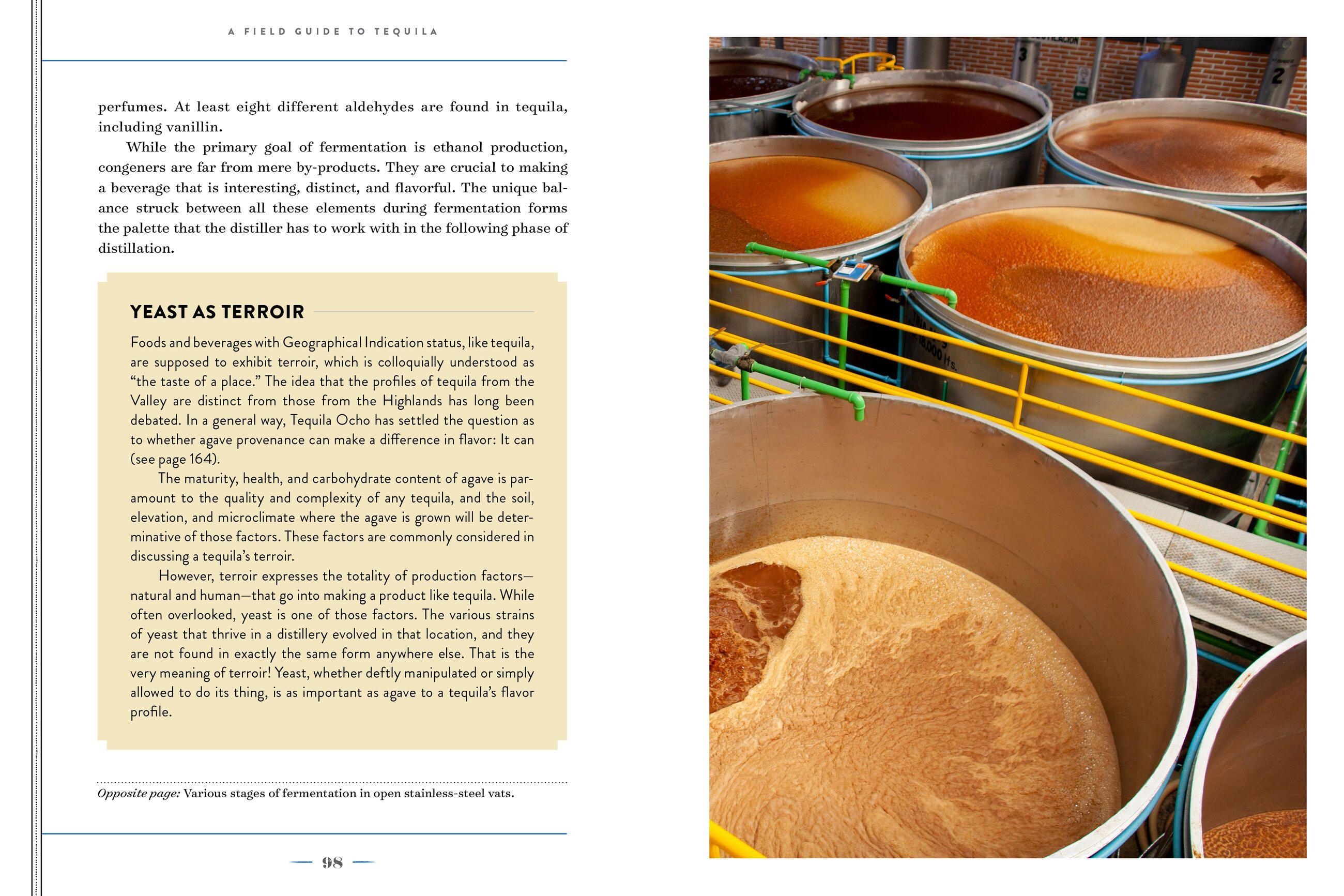 Beispielinhalt (Bild) A Field Guide to Tequila