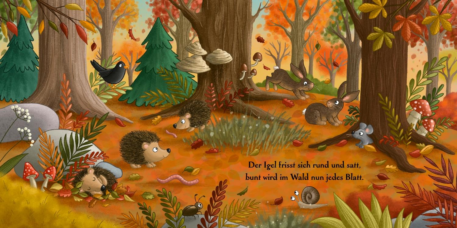 Beispielinhalt (Bild) Es wird Herbst hier im Wald