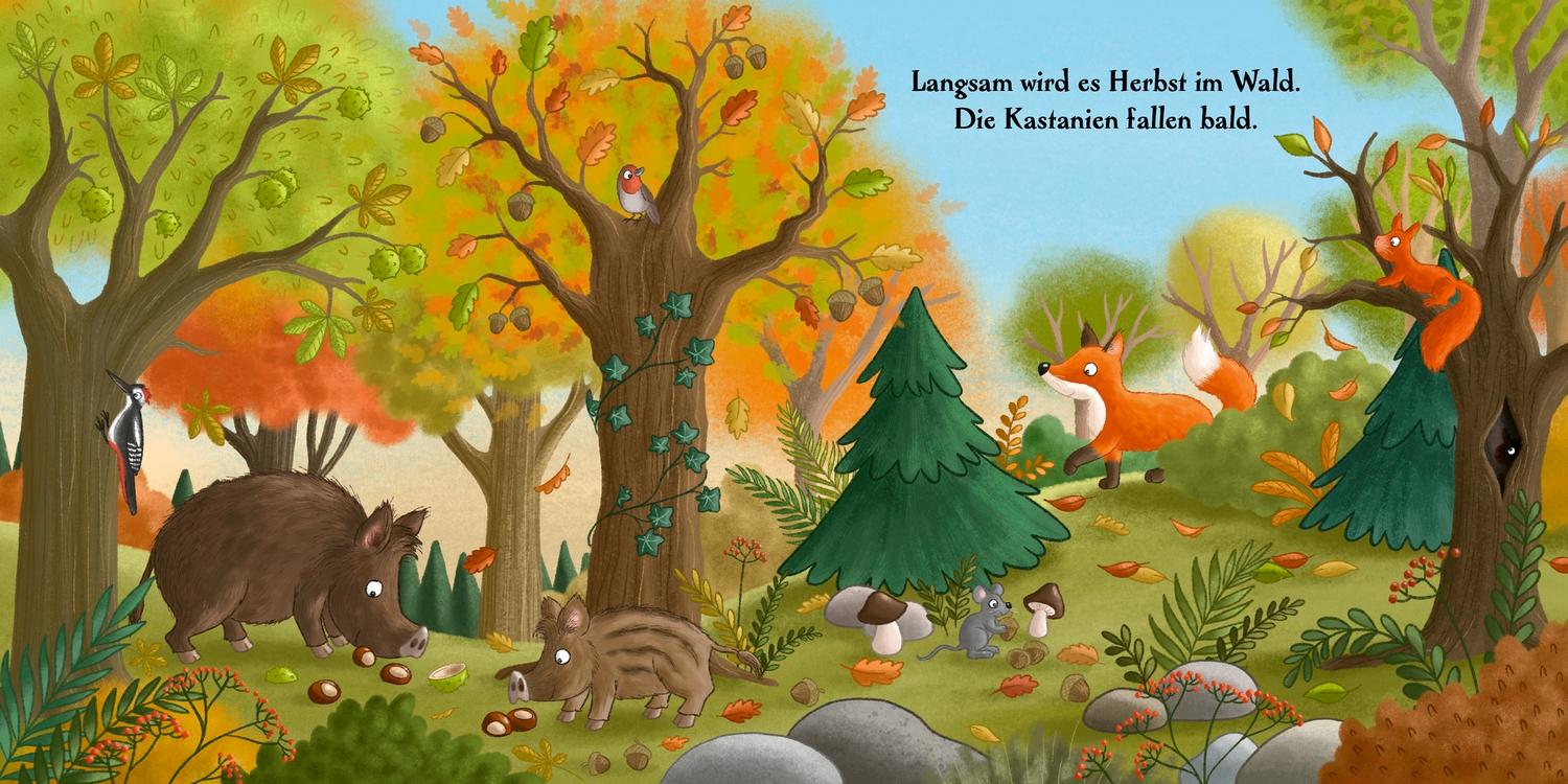 Beispielinhalt (Bild) Es wird Herbst hier im Wald