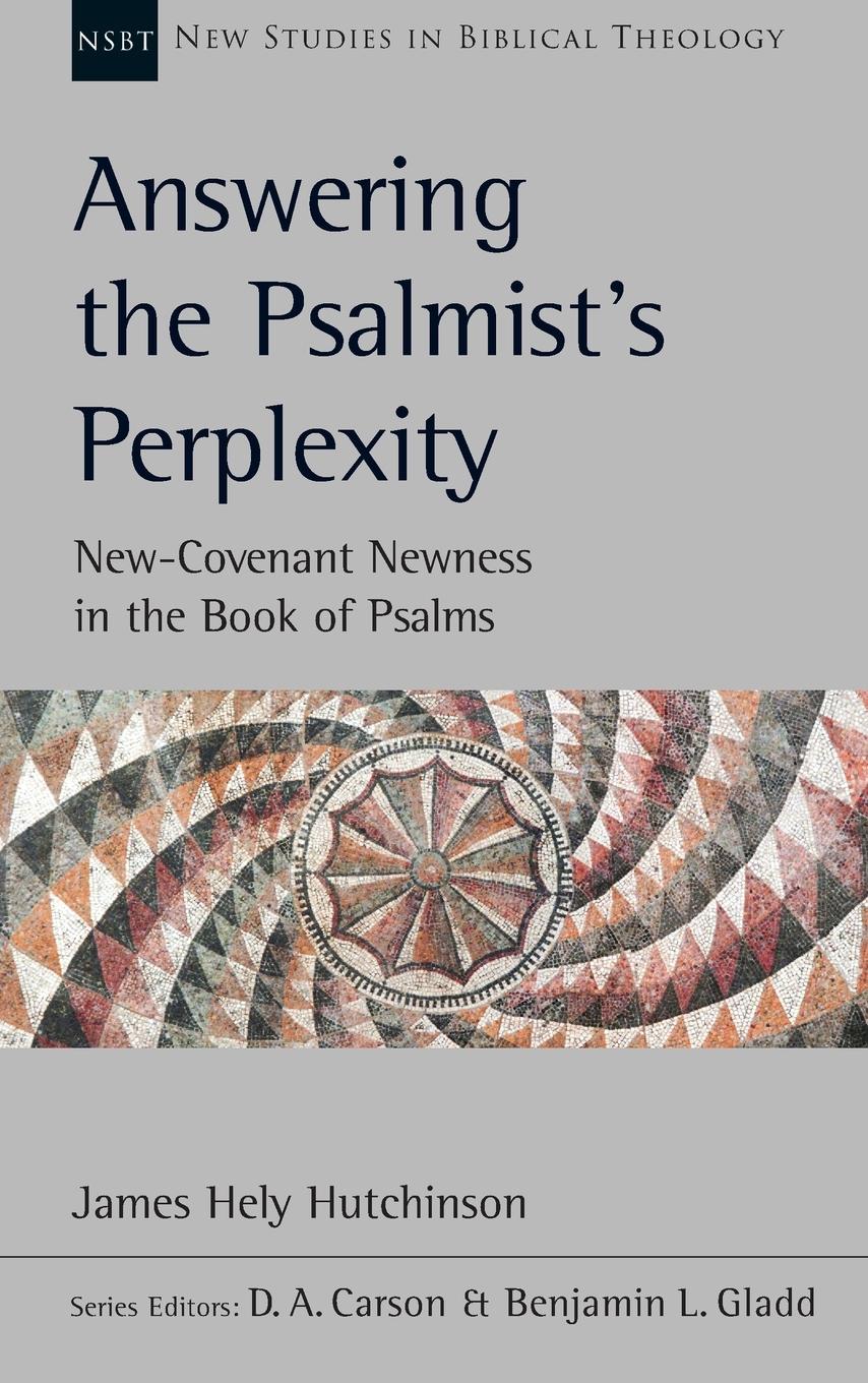 Vorderes Coverbild Answering the Psalmist's Perplexity