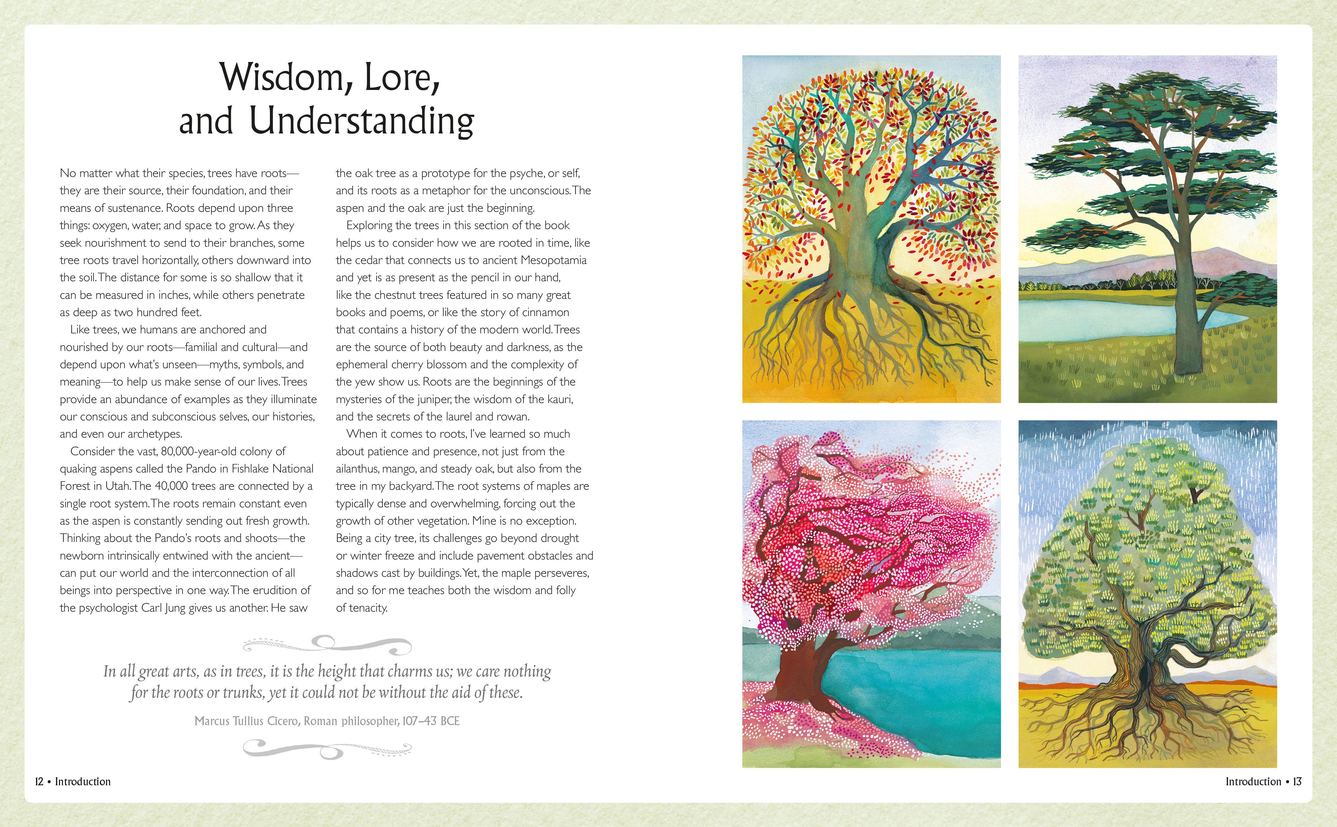 Beispielinhalt (Bild) Tree Wisdom