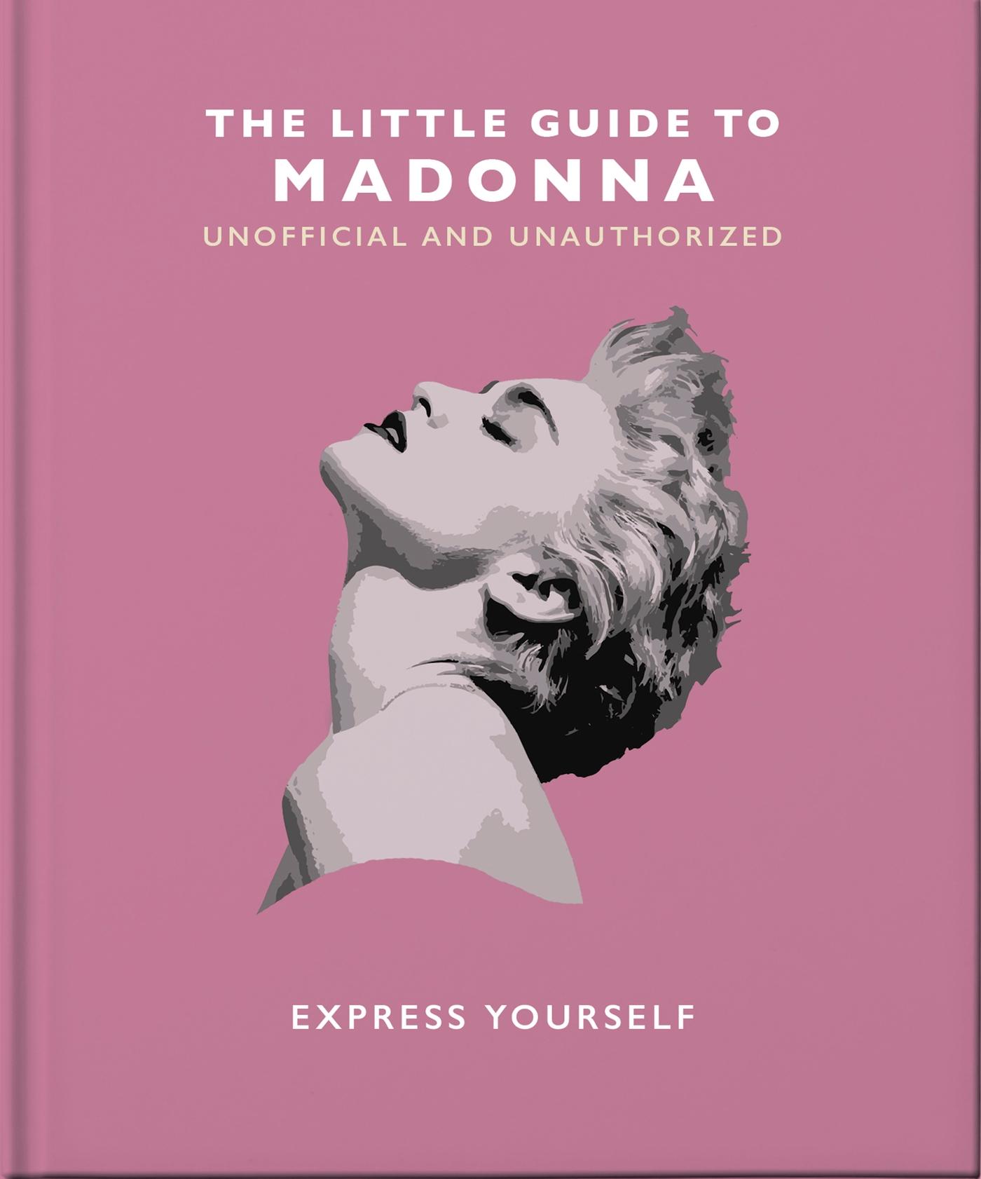 Vorderes Coverbild The Little Guide to Madonna