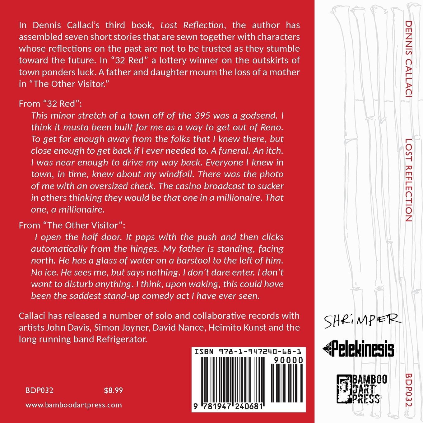 Rückseitencover Lost Reflection