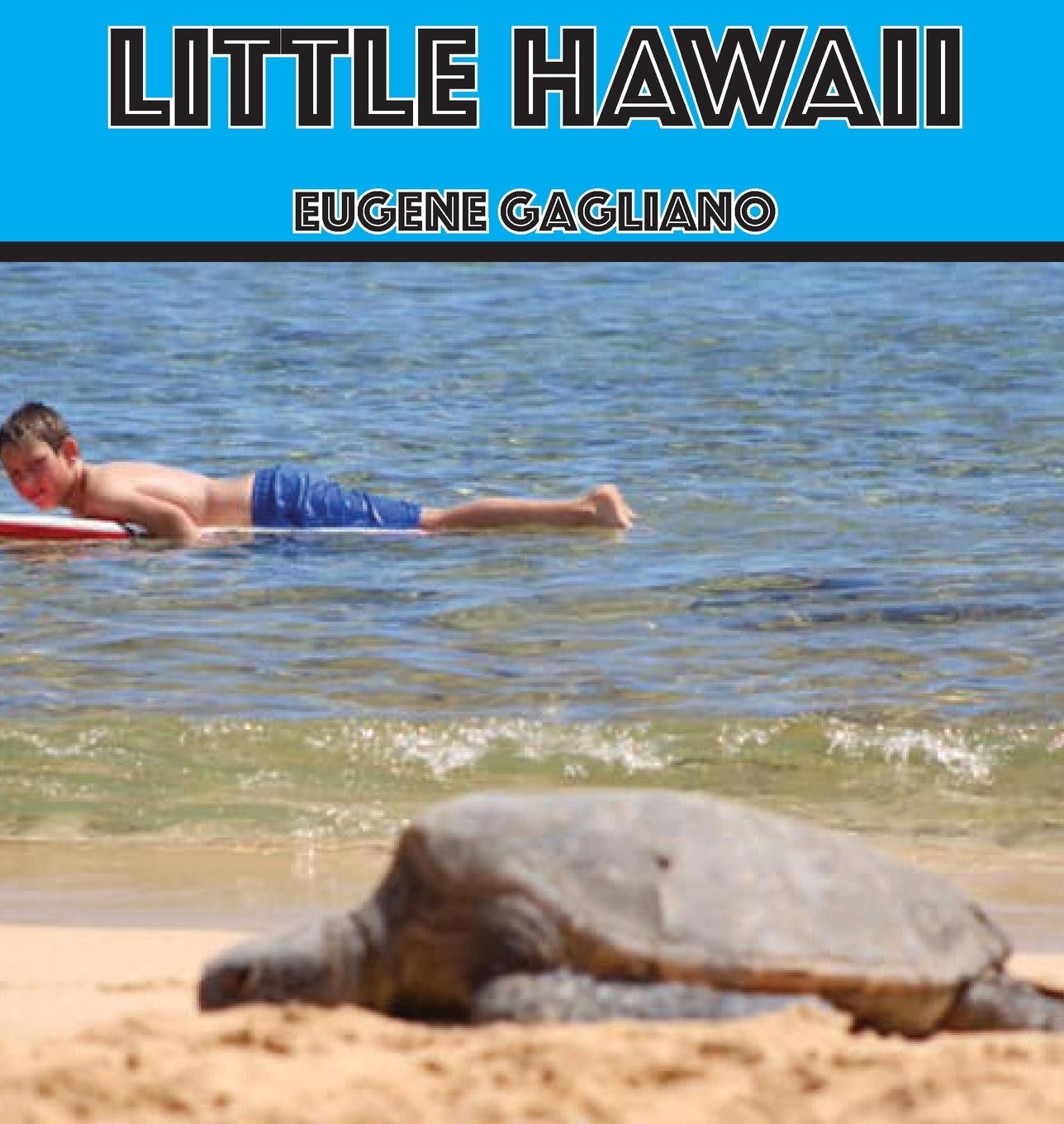 Vorderes Coverbild Little Hawaii