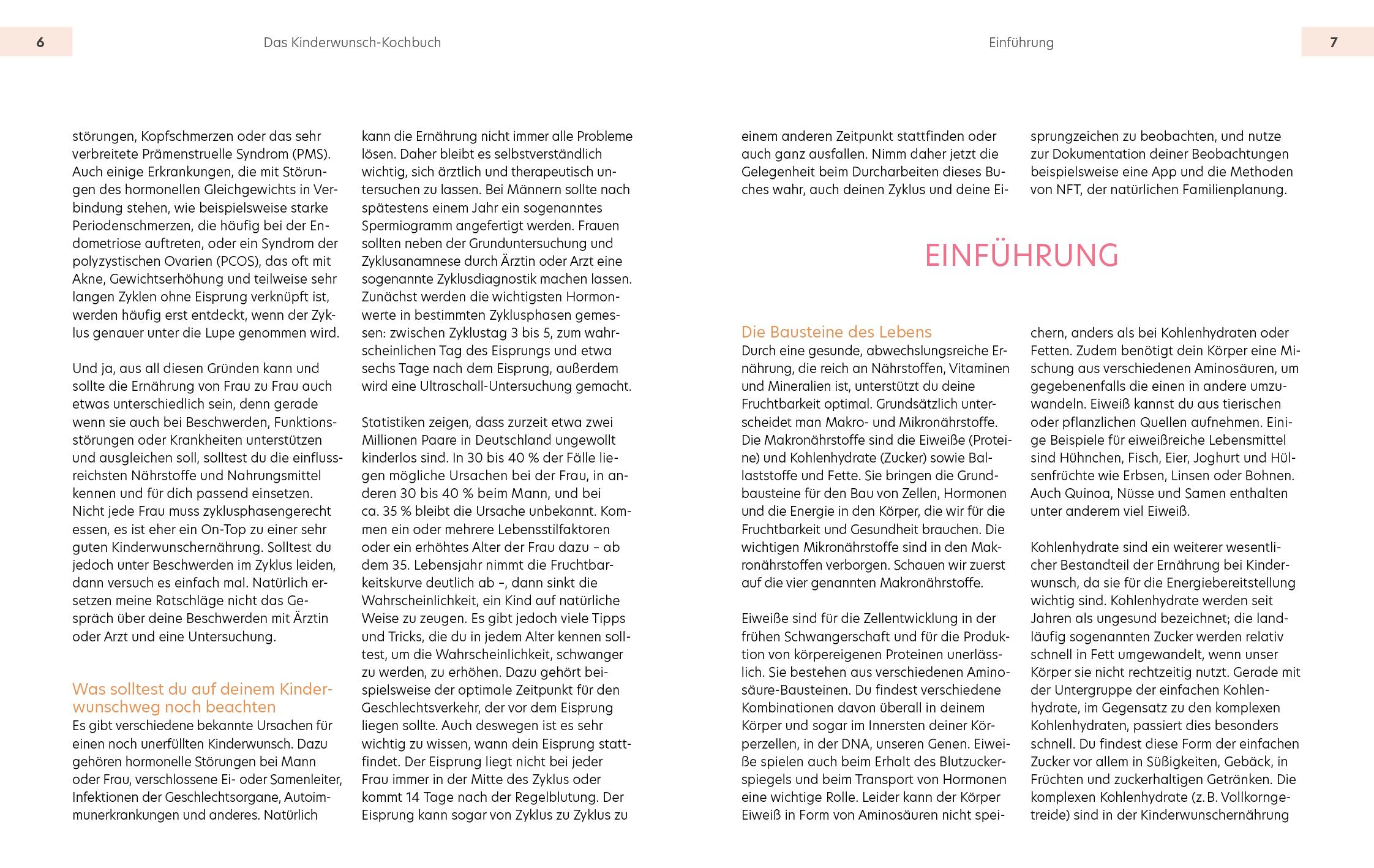 Beispielinhalt (Bild) Das Kinderwunsch-Kochbuch