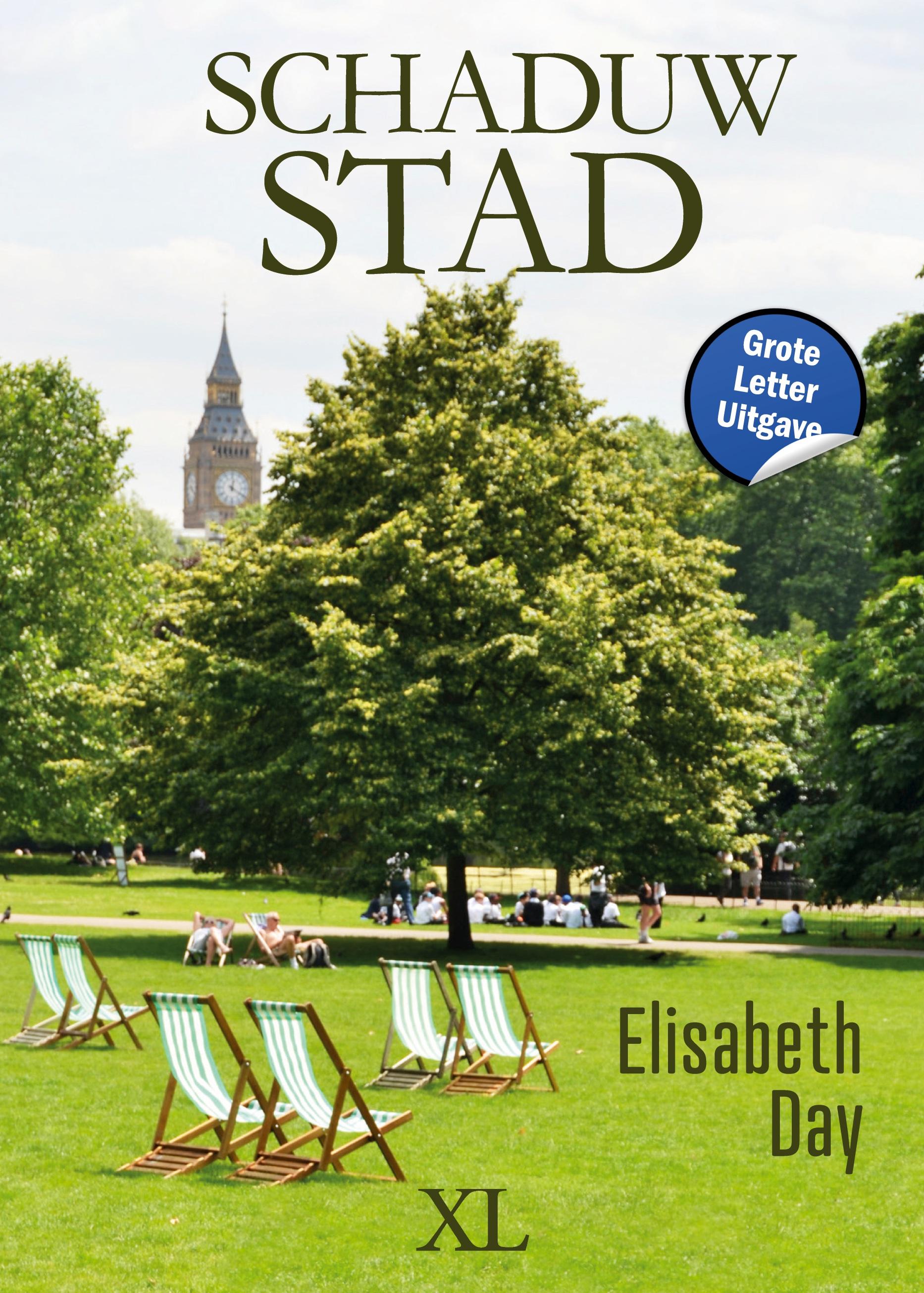 Vorderes Coverbild Schaduwstad