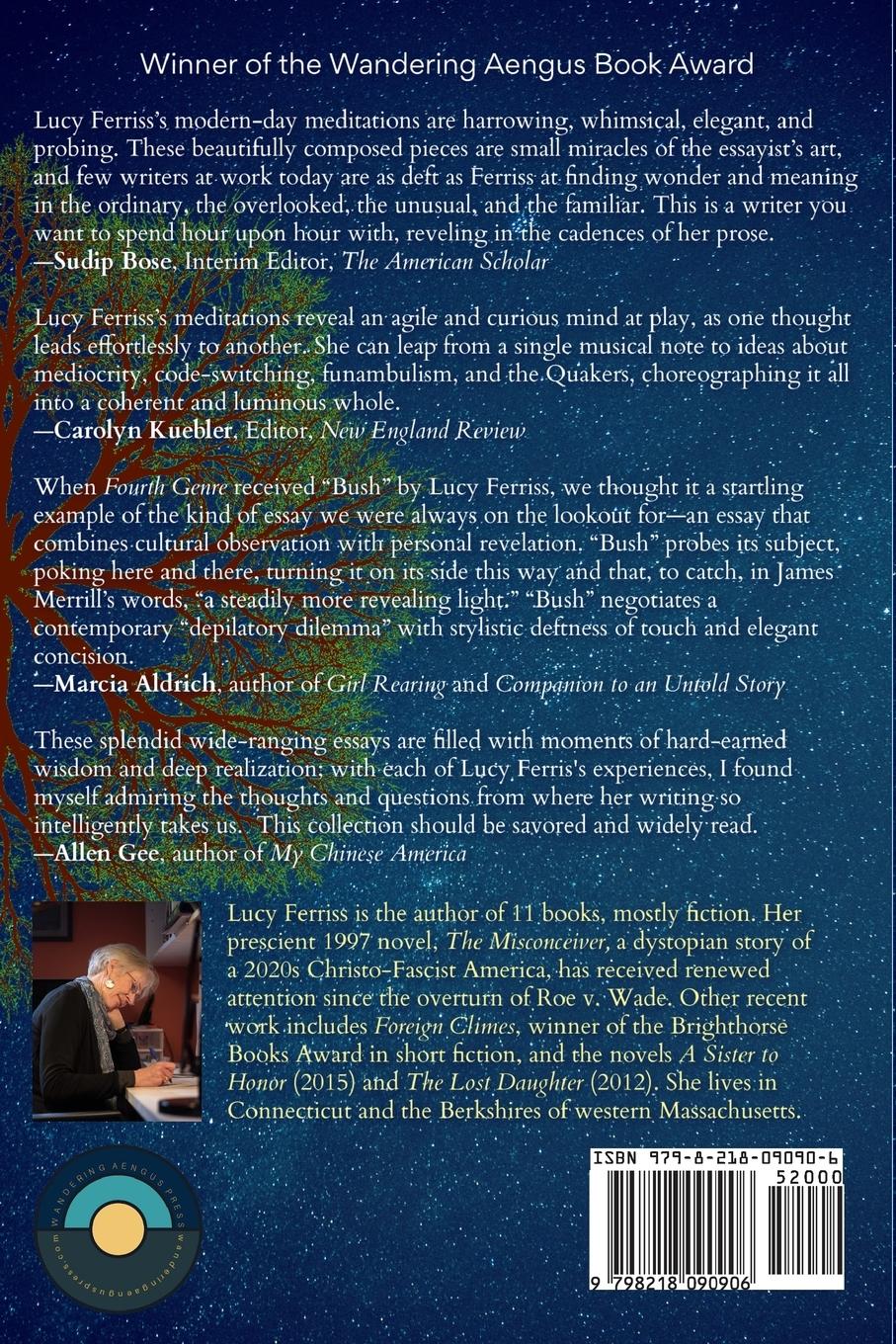 Rückseitencover Meditations for a New Century