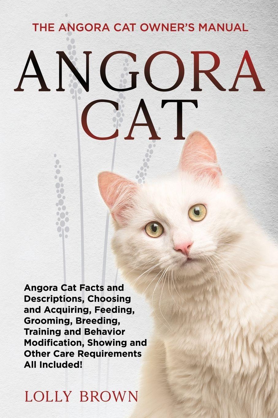 Vorderes Coverbild Angora Cat
