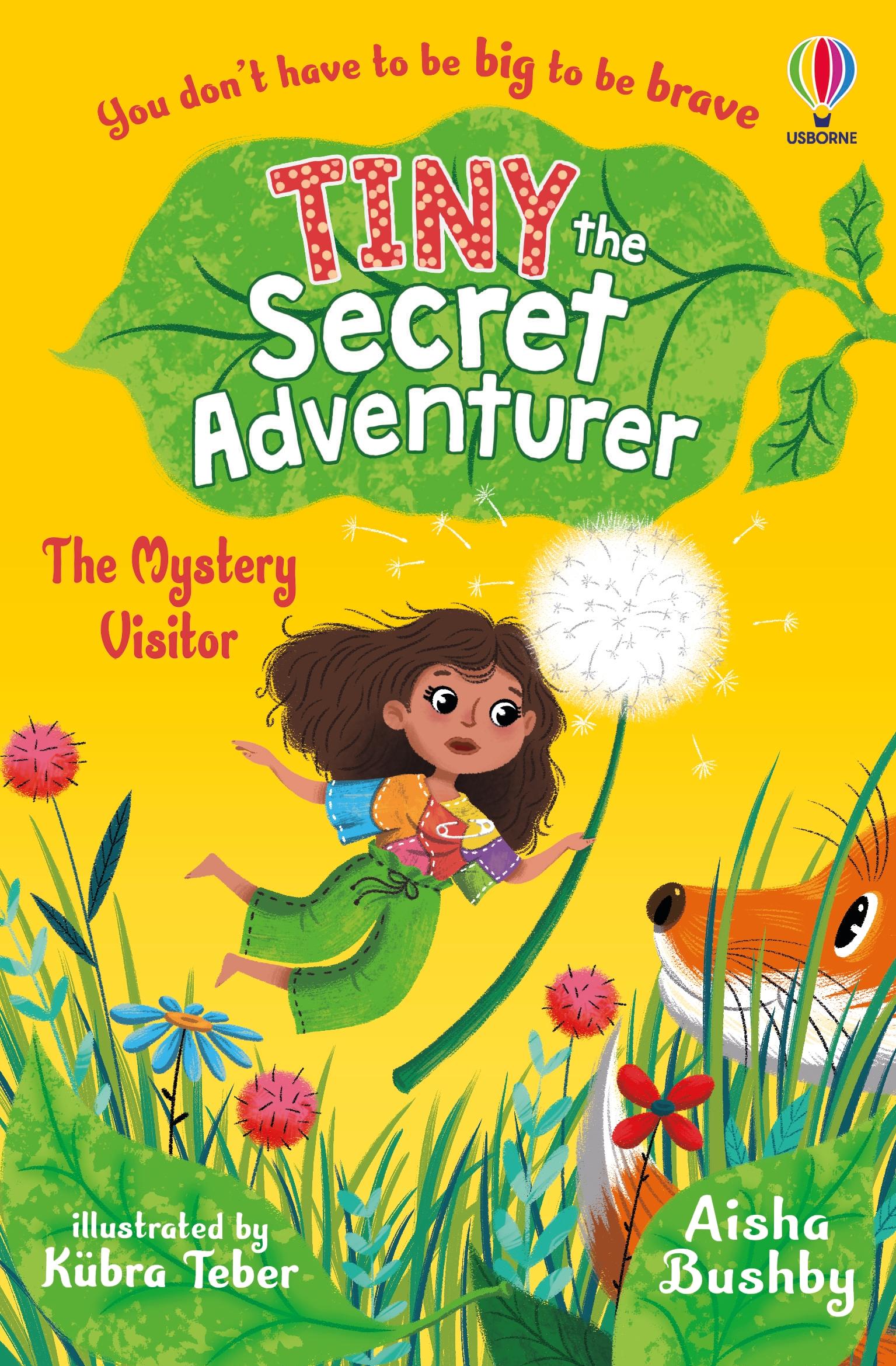 Vorderes Coverbild Tiny the Secret Adventurer: The Mystery Visitor