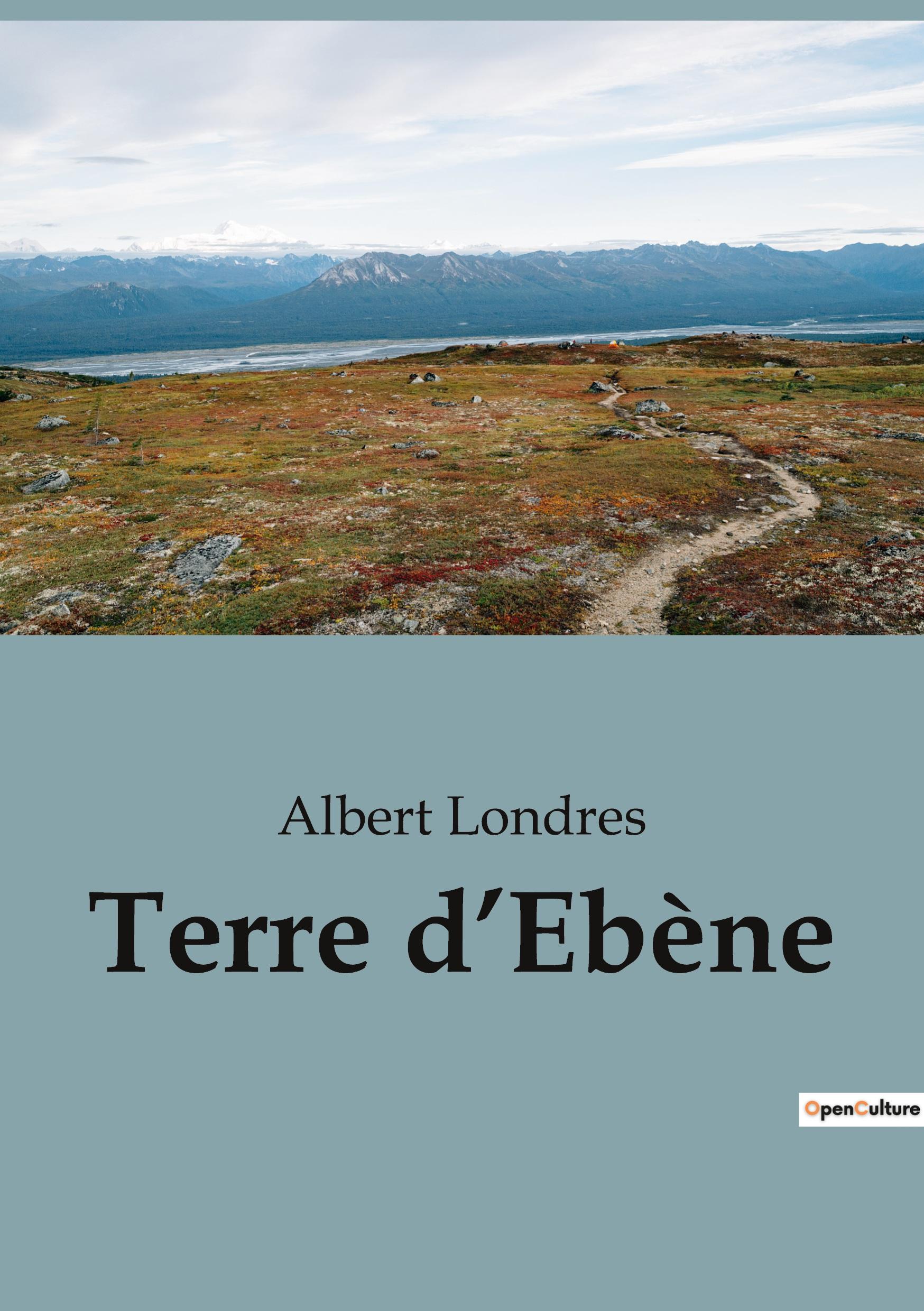 Vorderes Coverbild Terre d'Ebène