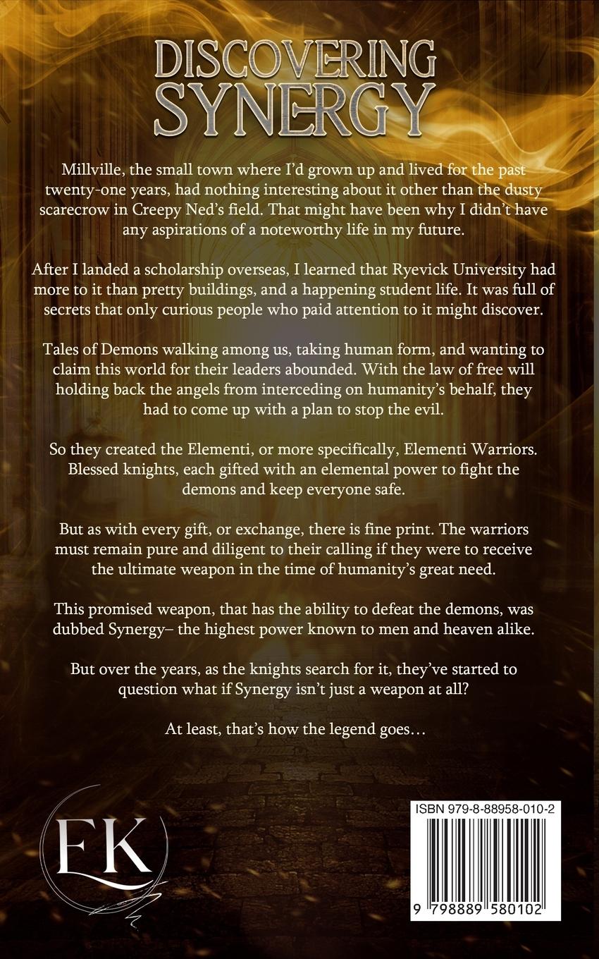 Rückseitencover Discovering Synergy