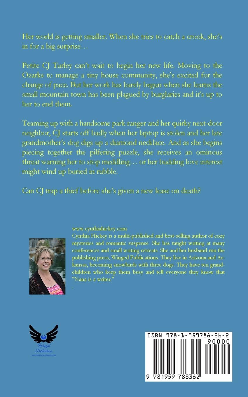 Rückseitencover No Small Caper