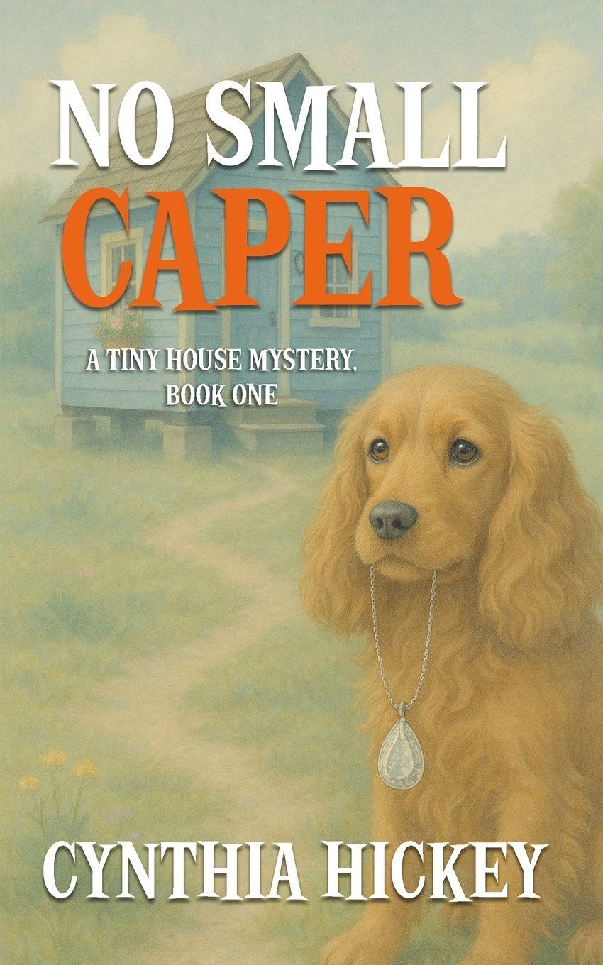 Vorderes Coverbild No Small Caper