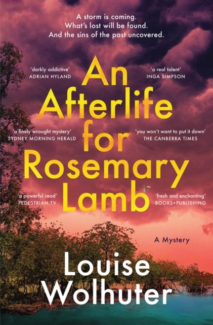 Vorderes Coverbild An Afterlife for Rosemary Lamb