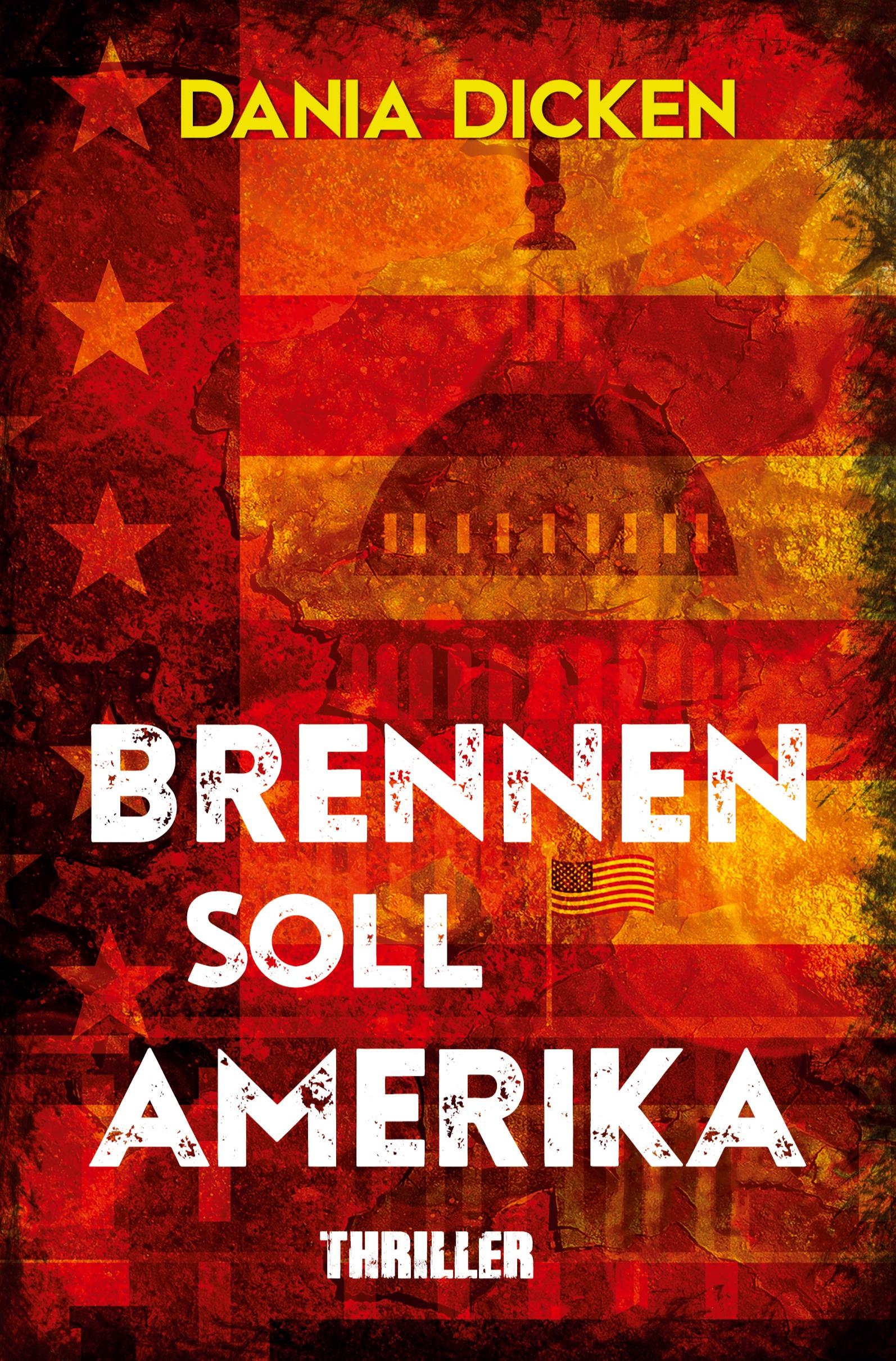 Vorderes Coverbild Brennen soll Amerika