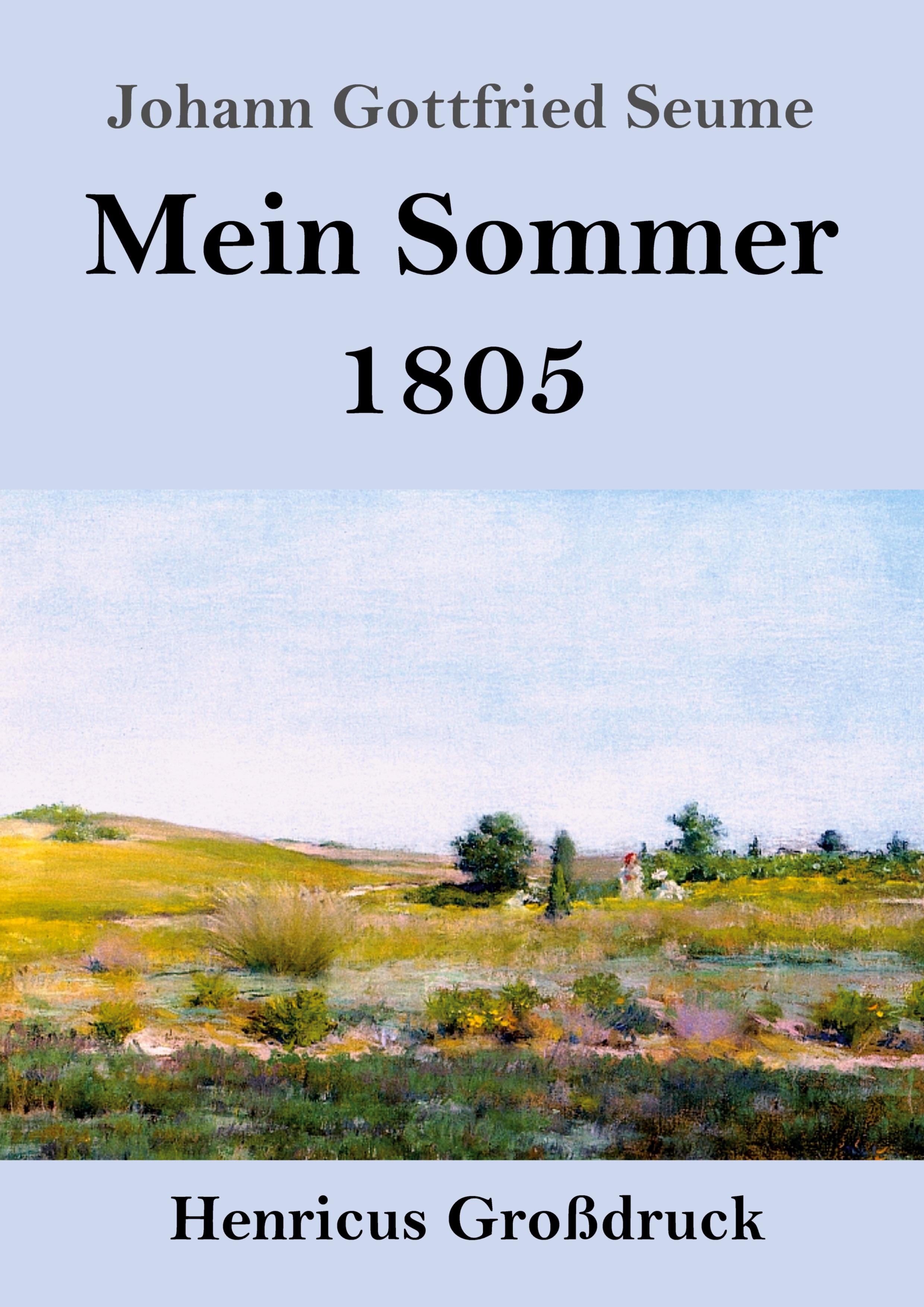Vorderes Coverbild Mein Sommer 1805 (Großdruck)