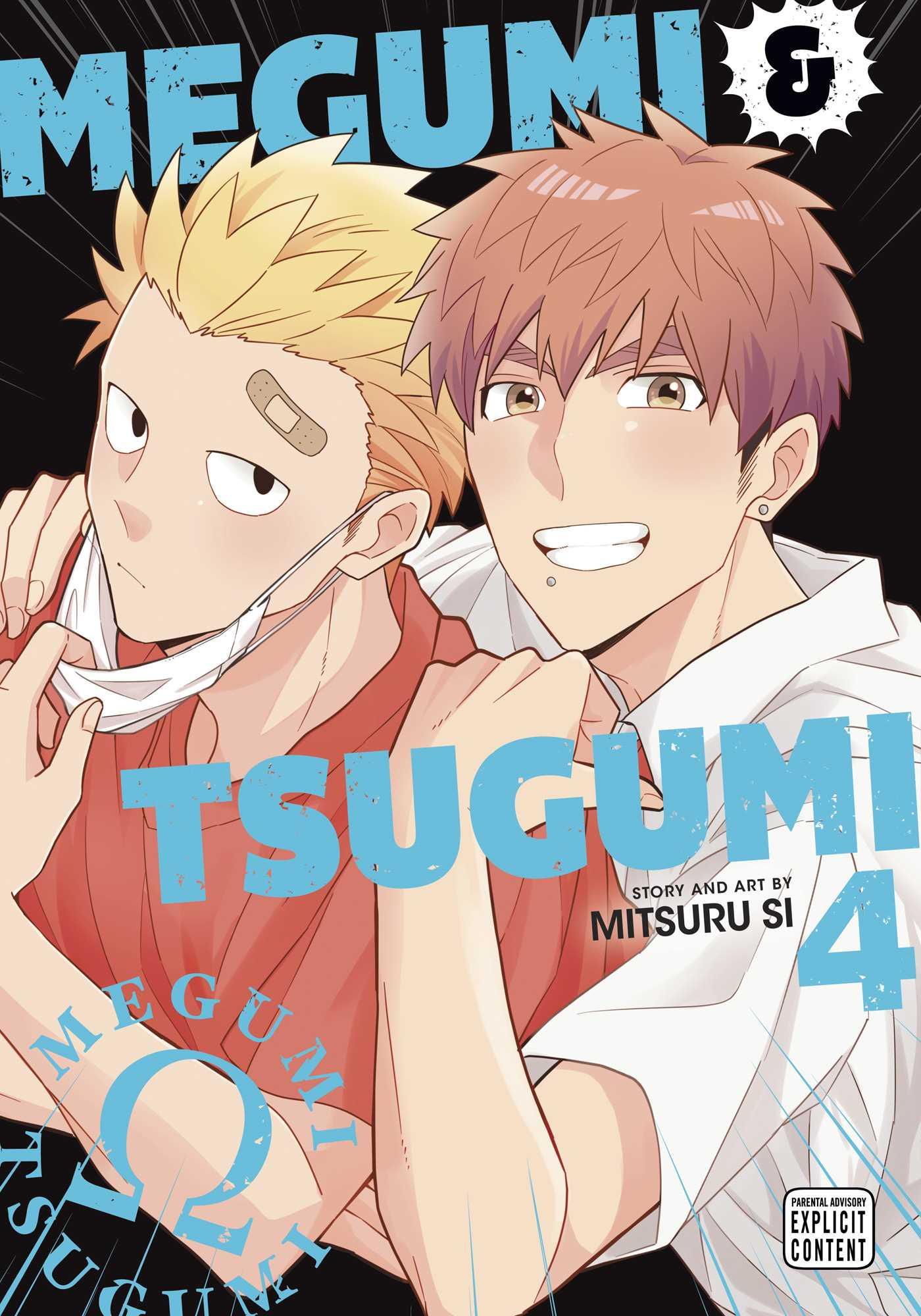 Vorderes Coverbild Megumi & Tsugumi, Vol. 4