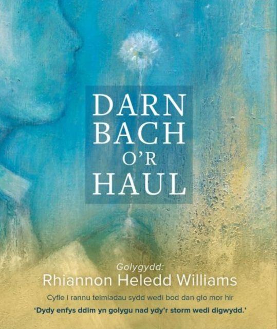 Vorderes Coverbild Darllen yn Well: Darn Bach o'r Haul