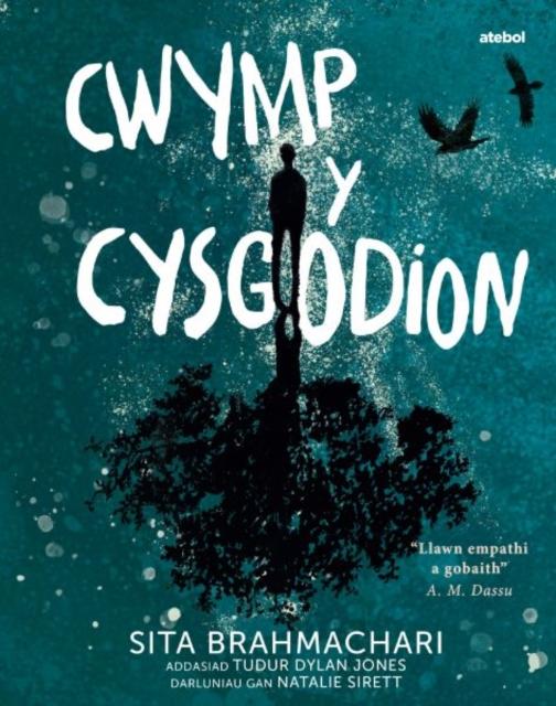 Vorderes Coverbild Darllen yn Well: Cwymp y Cysgodion