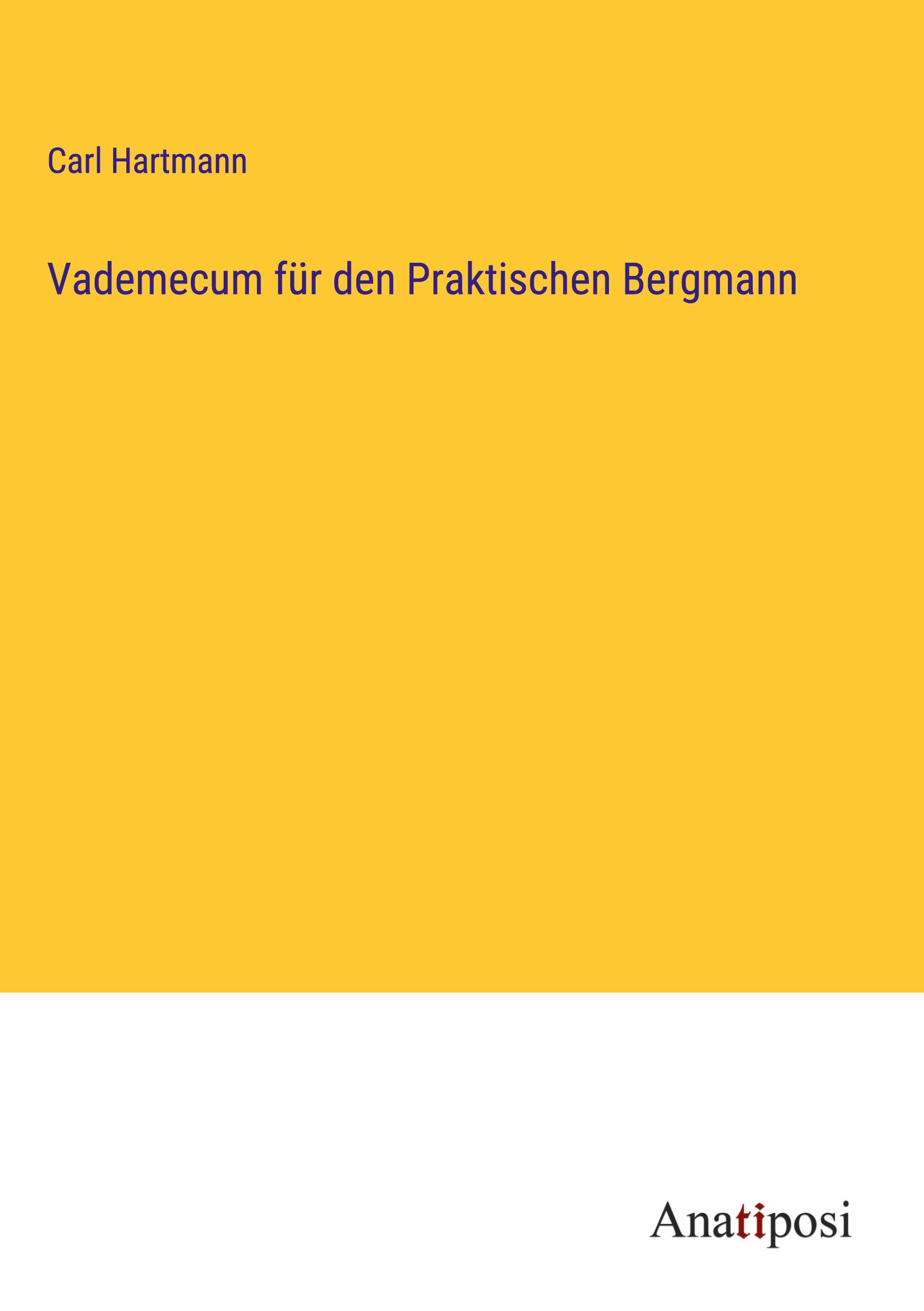 Vorderes Coverbild Vademecum für den Praktischen Bergmann