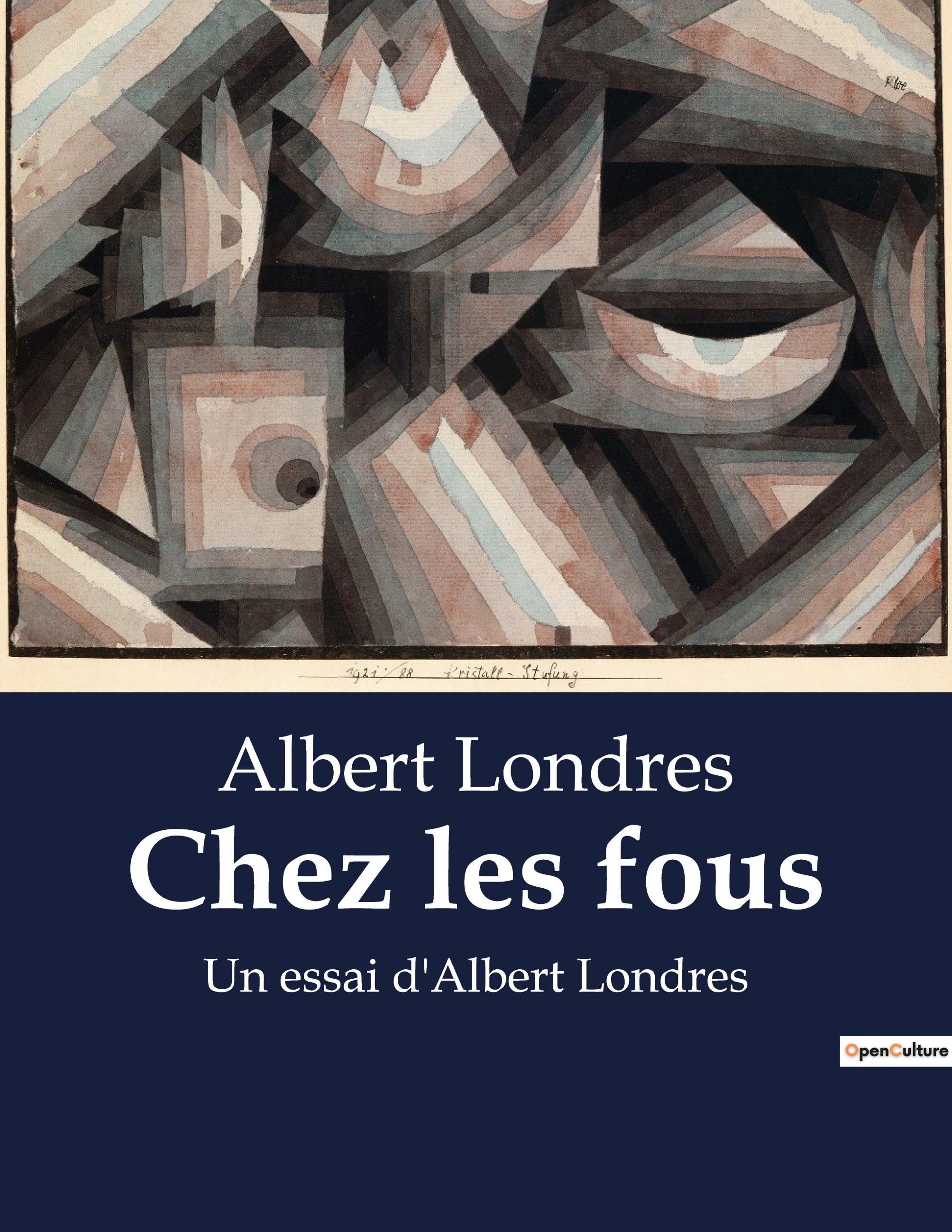 Vorderes Coverbild Chez les fous
